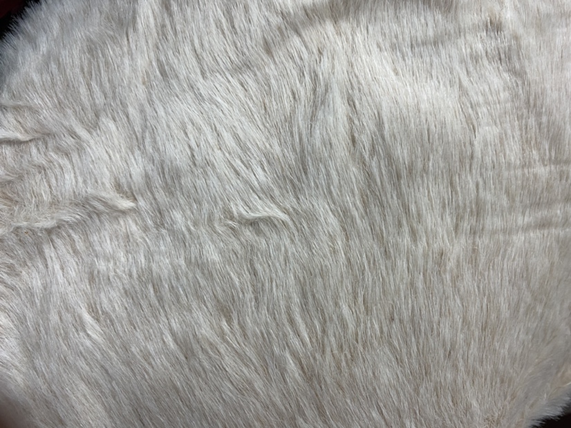 White Fur 2