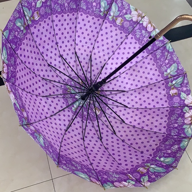 雨伞雨伞