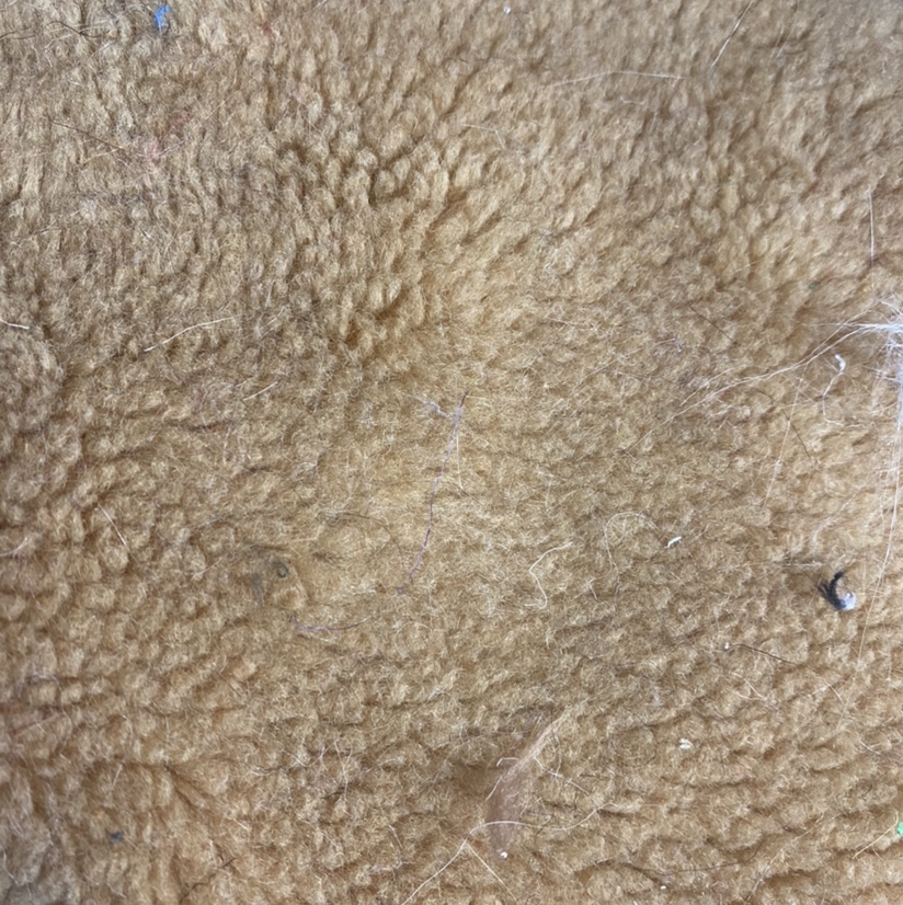 Cotton fluff 2