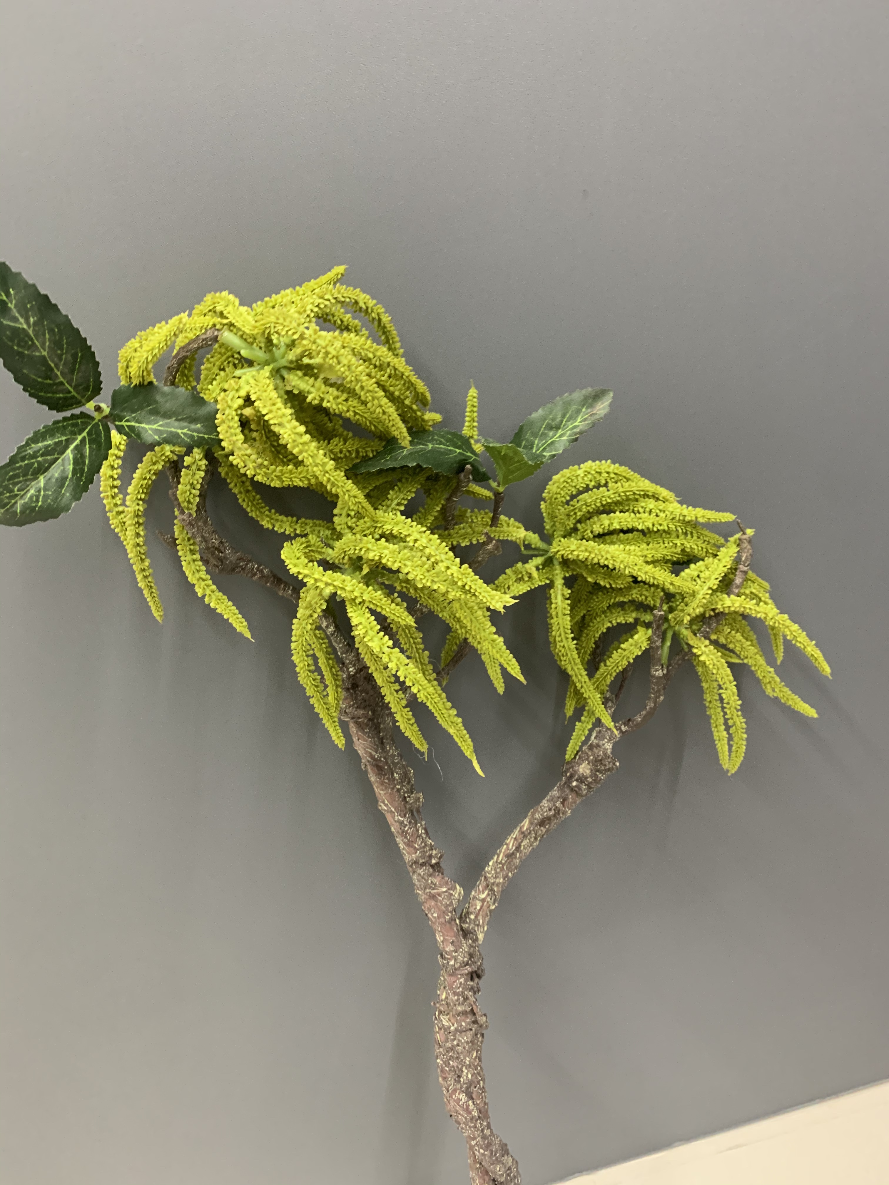 Simulated caterpillar details Picture