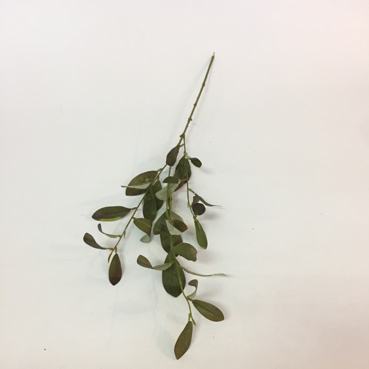 3叉小橄榄叶仿真绿植绿叶摆放花草详情图9