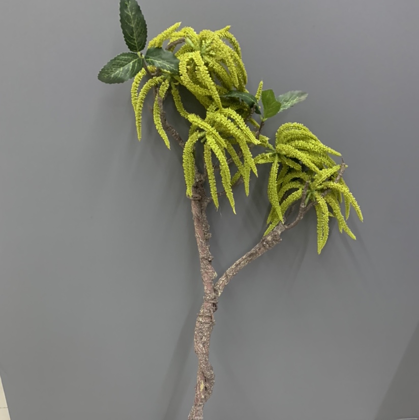 Simulated caterpillar