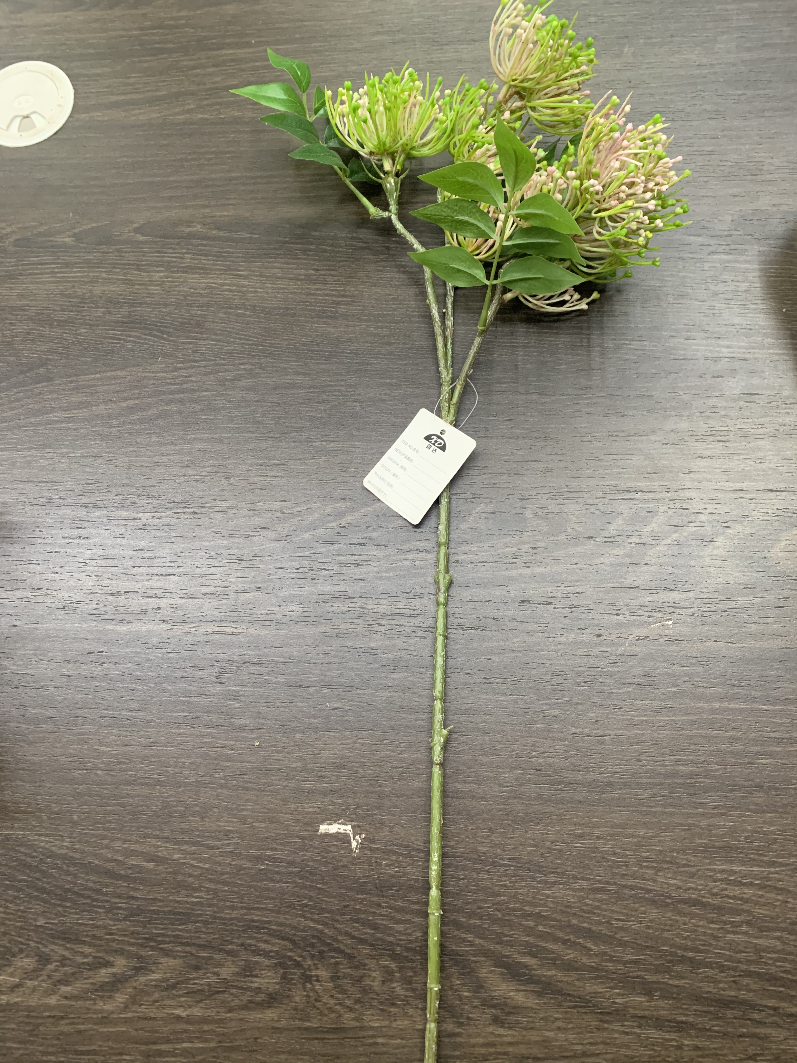 Red flower Silver leaf Specification image
