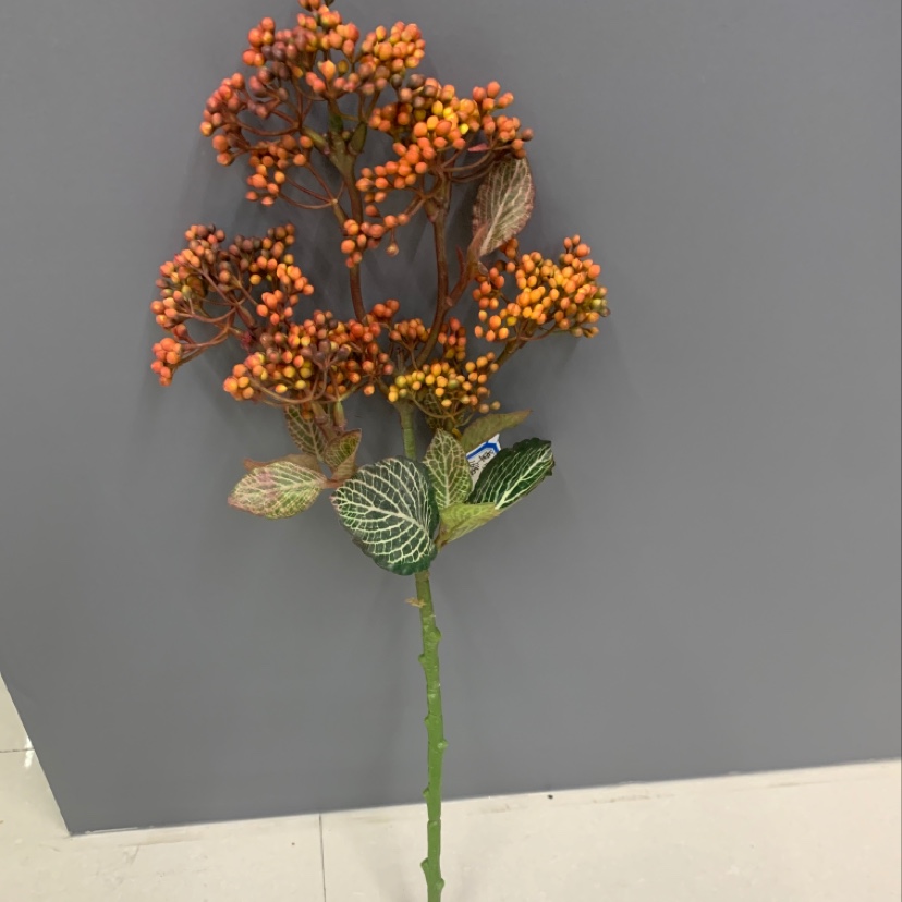 A single fragrant fruit details Picture