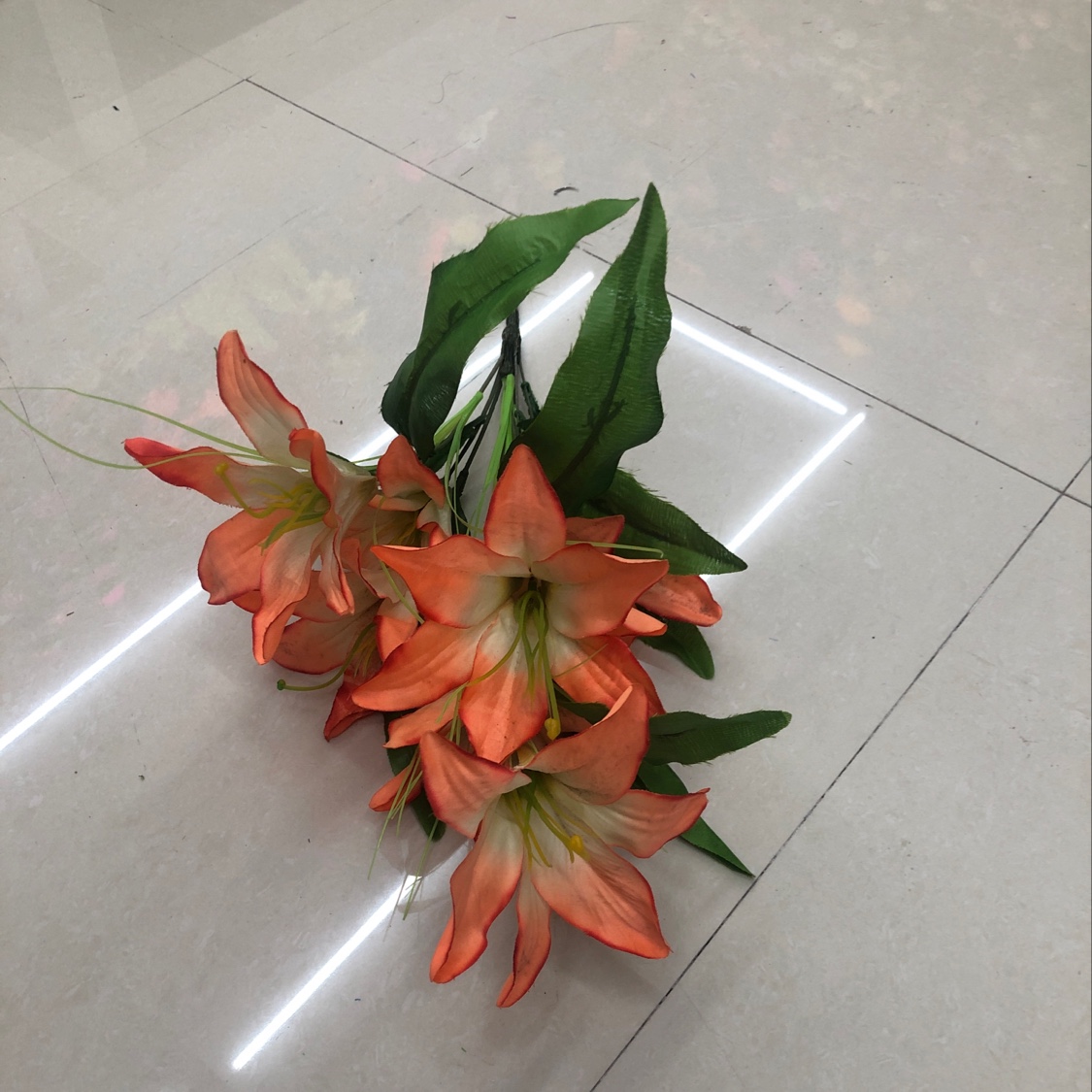 No. 3 324234234324234