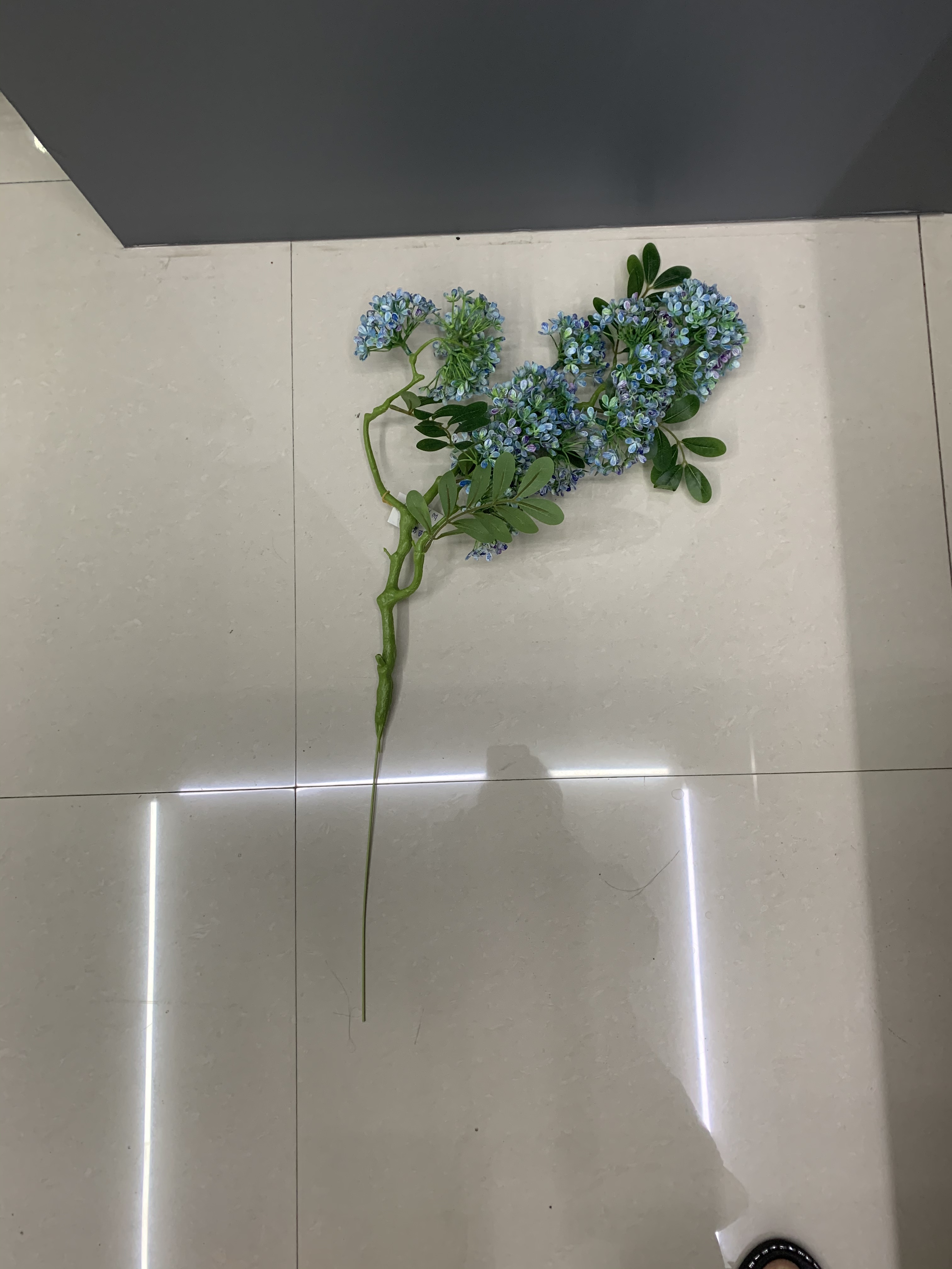 Branch rape flowers details Picture