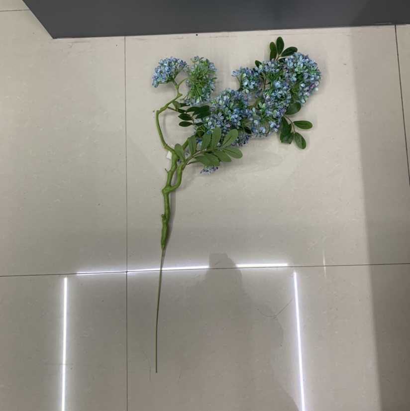 Branch rape flowers