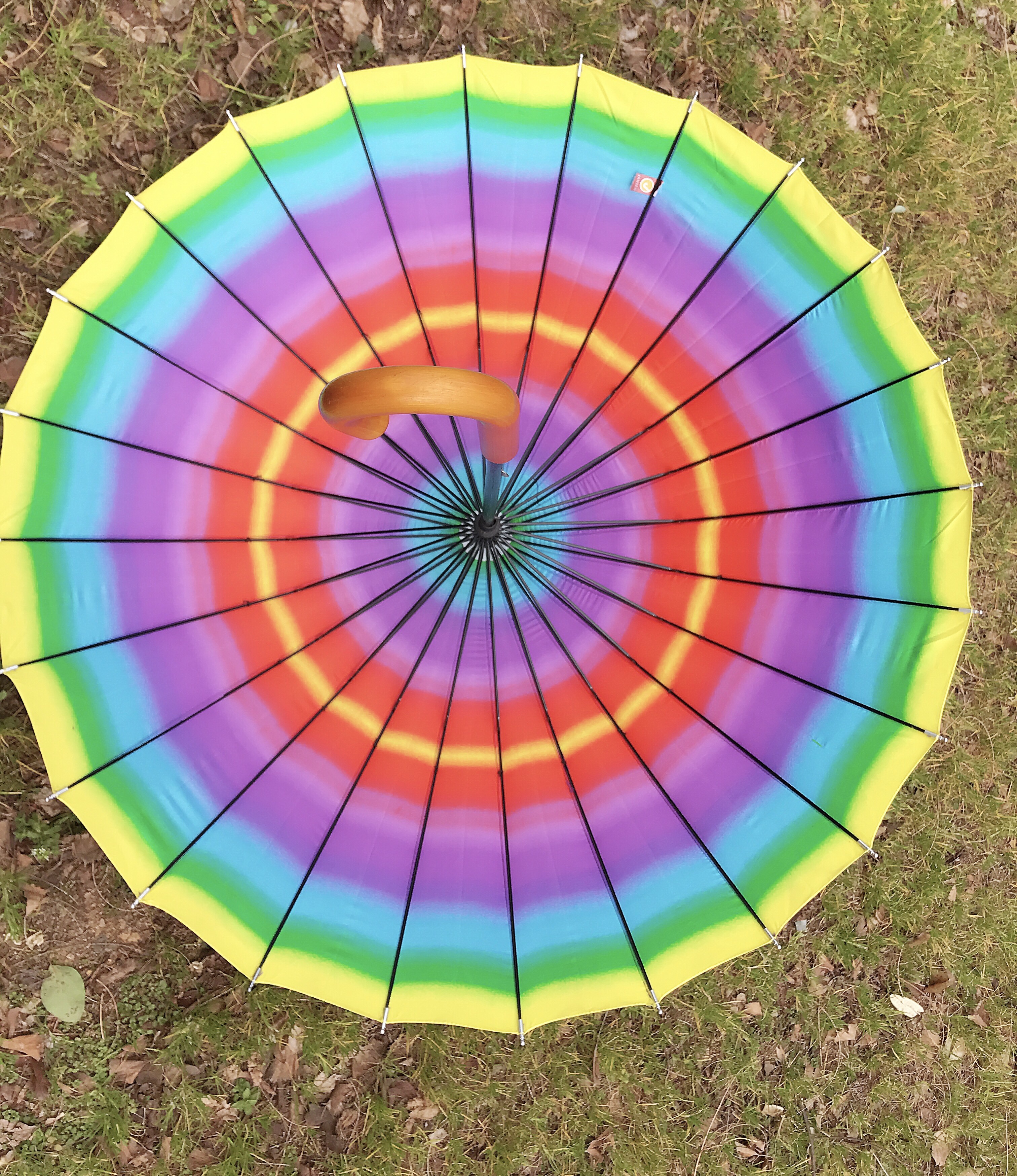 Paraguas arco iris 24K Specification image