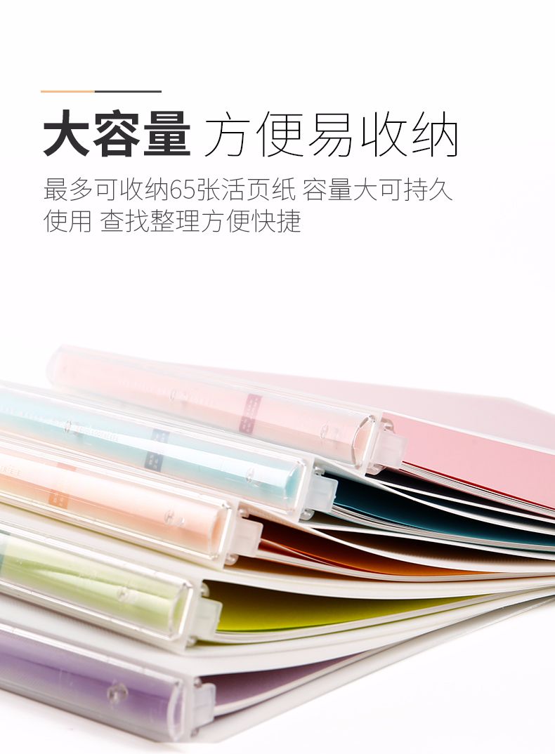 KOKUYO/ Guoyu RU-PV30 COLOREE loose-leaf Book B5-S/15 pages detail image 4