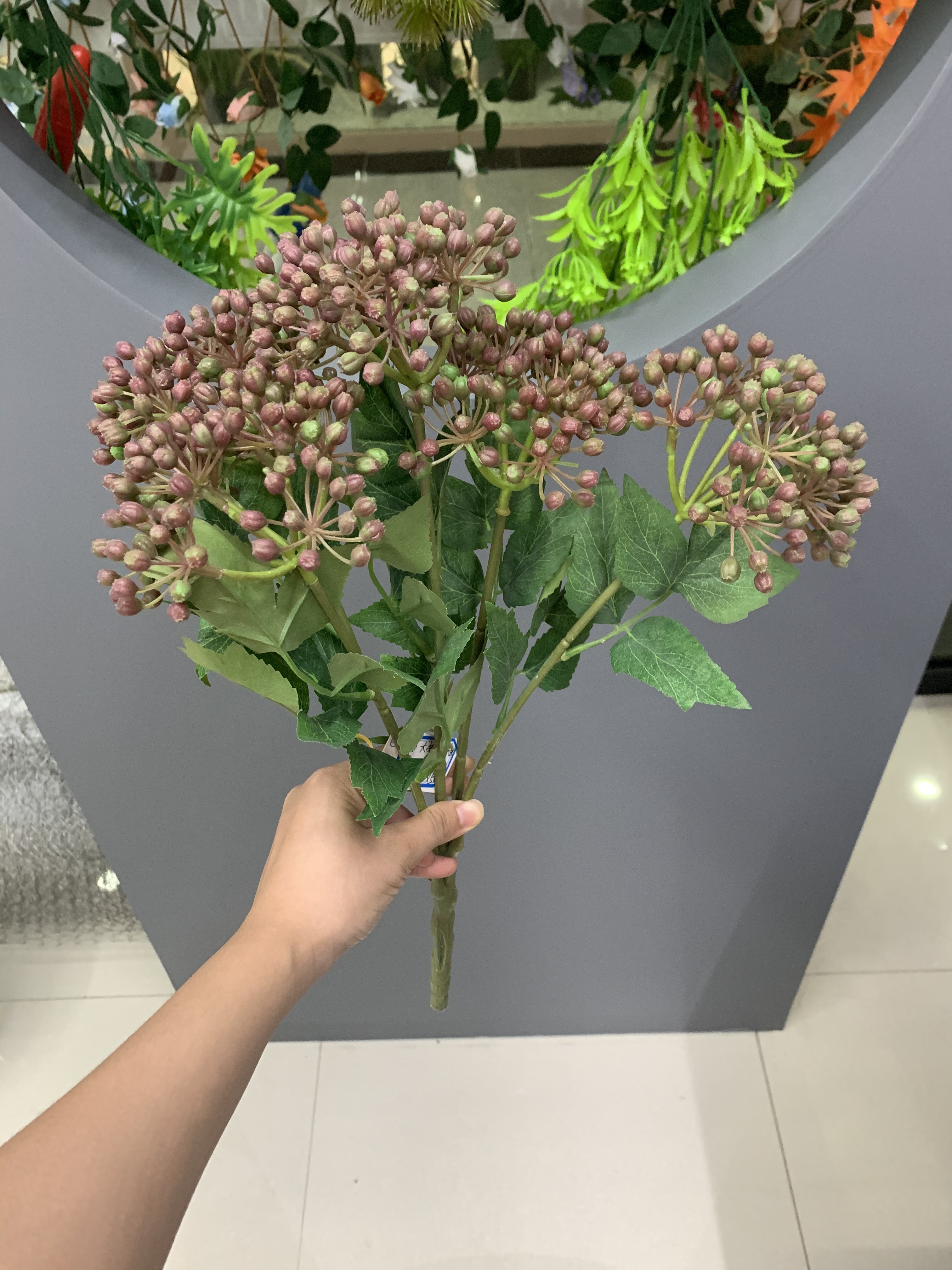 A large bunch of Nantian fruits details Picture