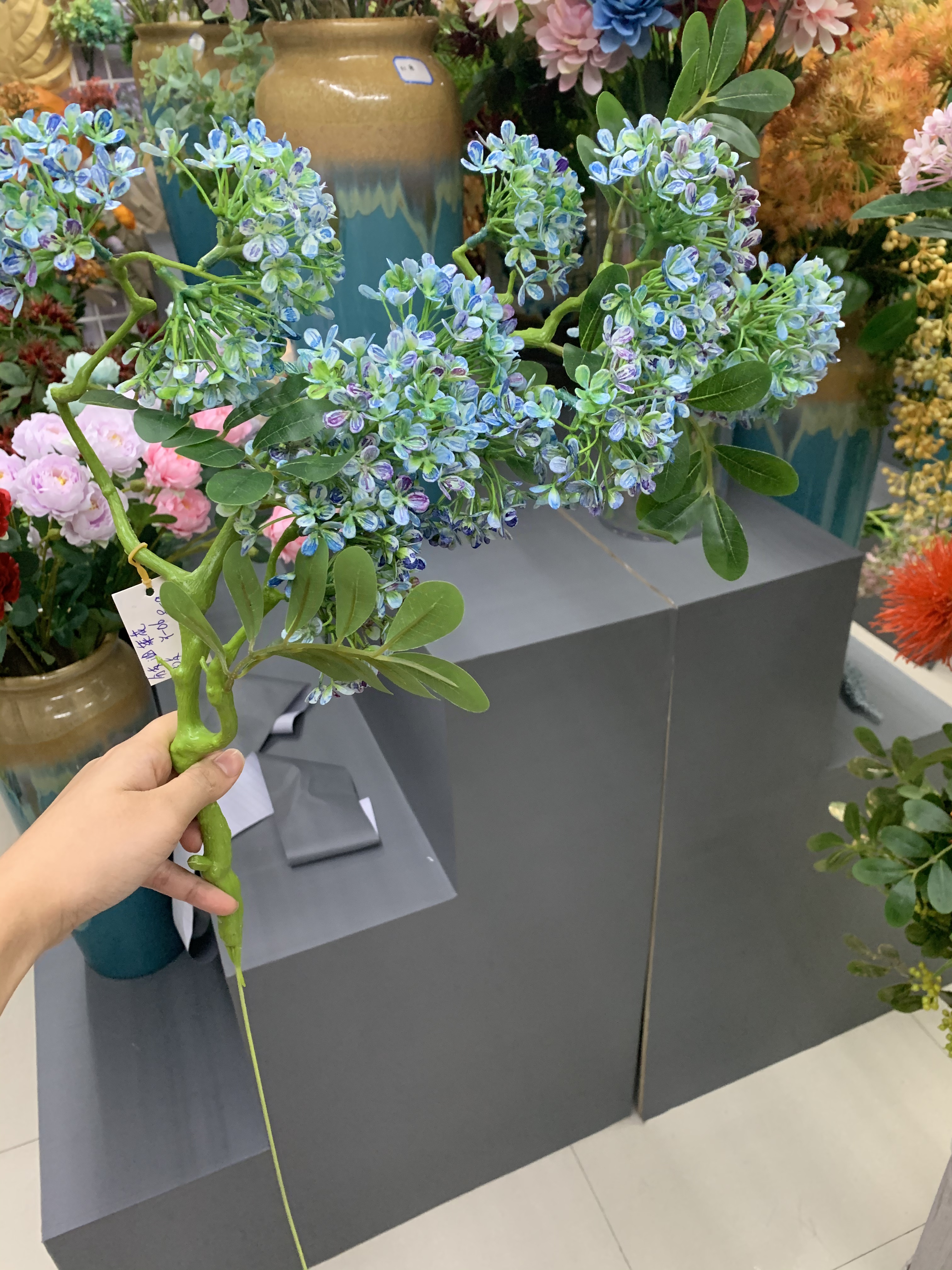 Branch rape flowers Application Scenario