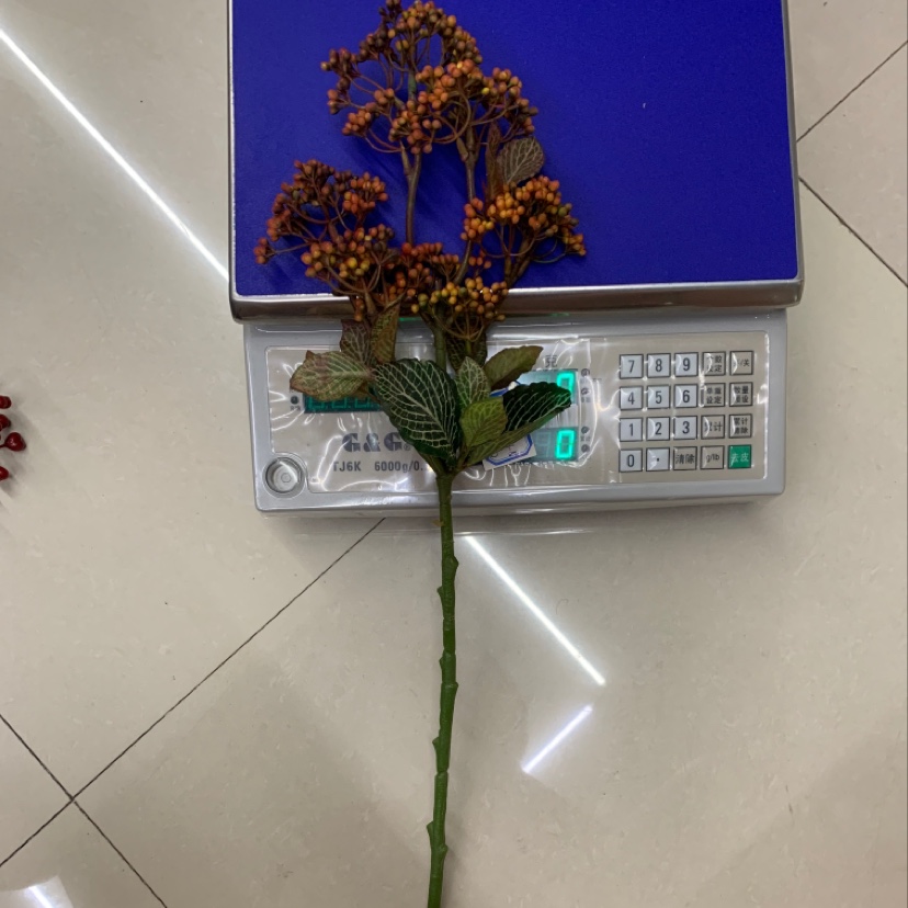 A single fragrant fruit