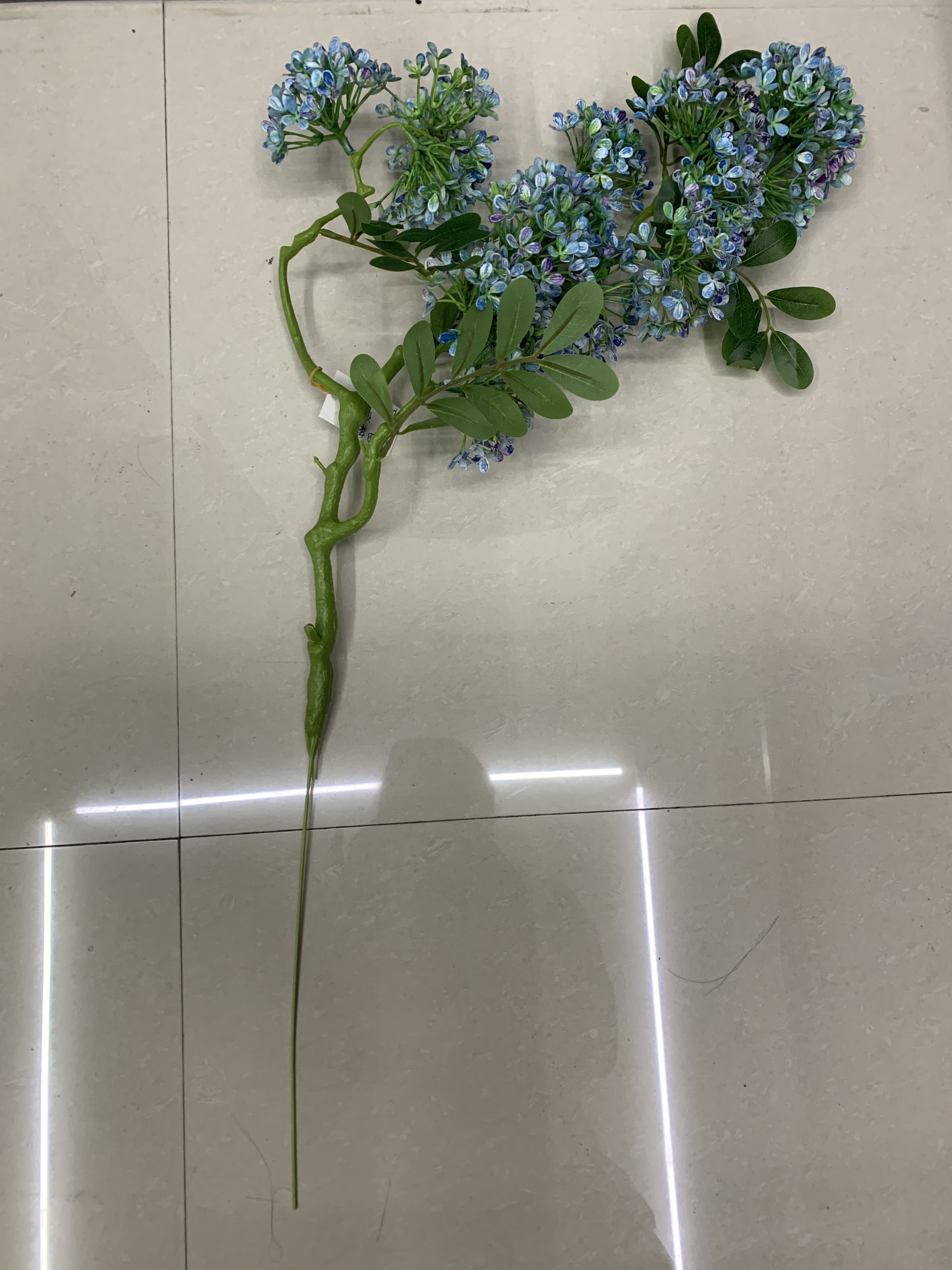 Branch rape flowers Specification image