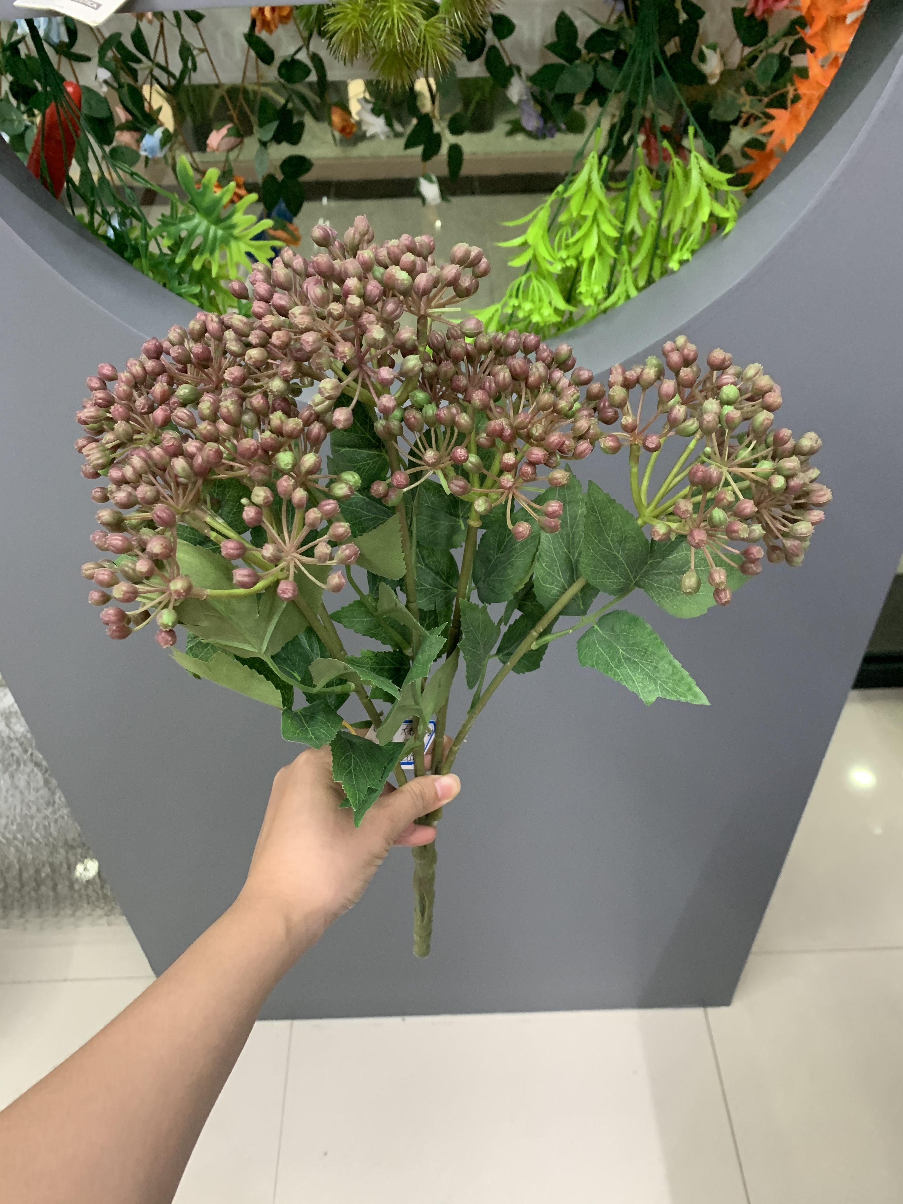 A large bunch of Nantian fruits Specification image