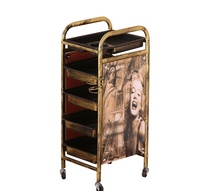 Beauty salon storage tool car