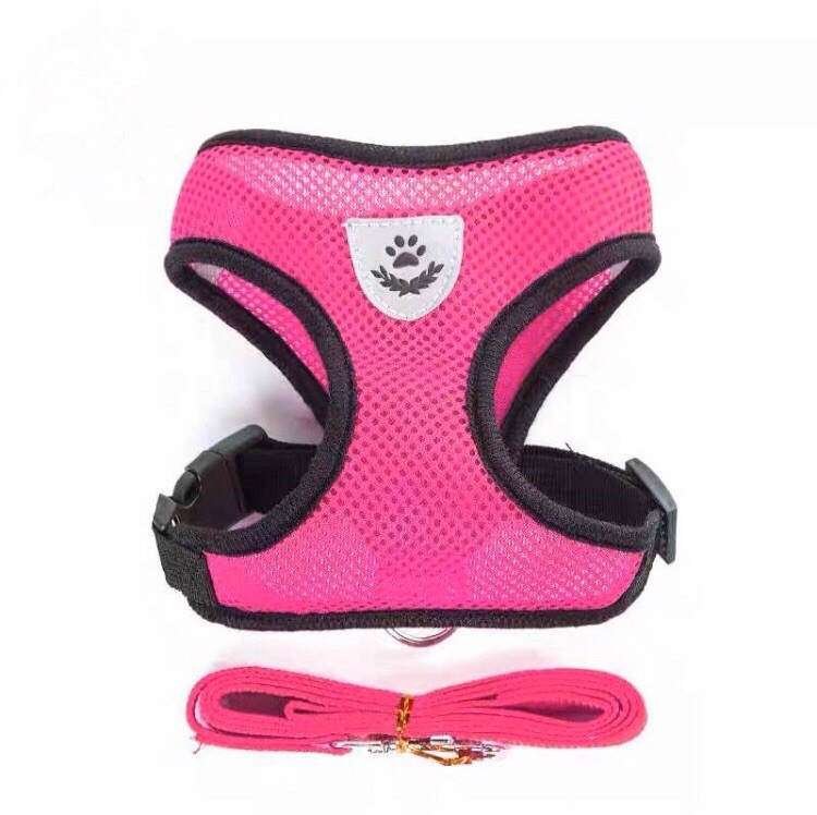 Pet supplies leash and chest harness thumbnail