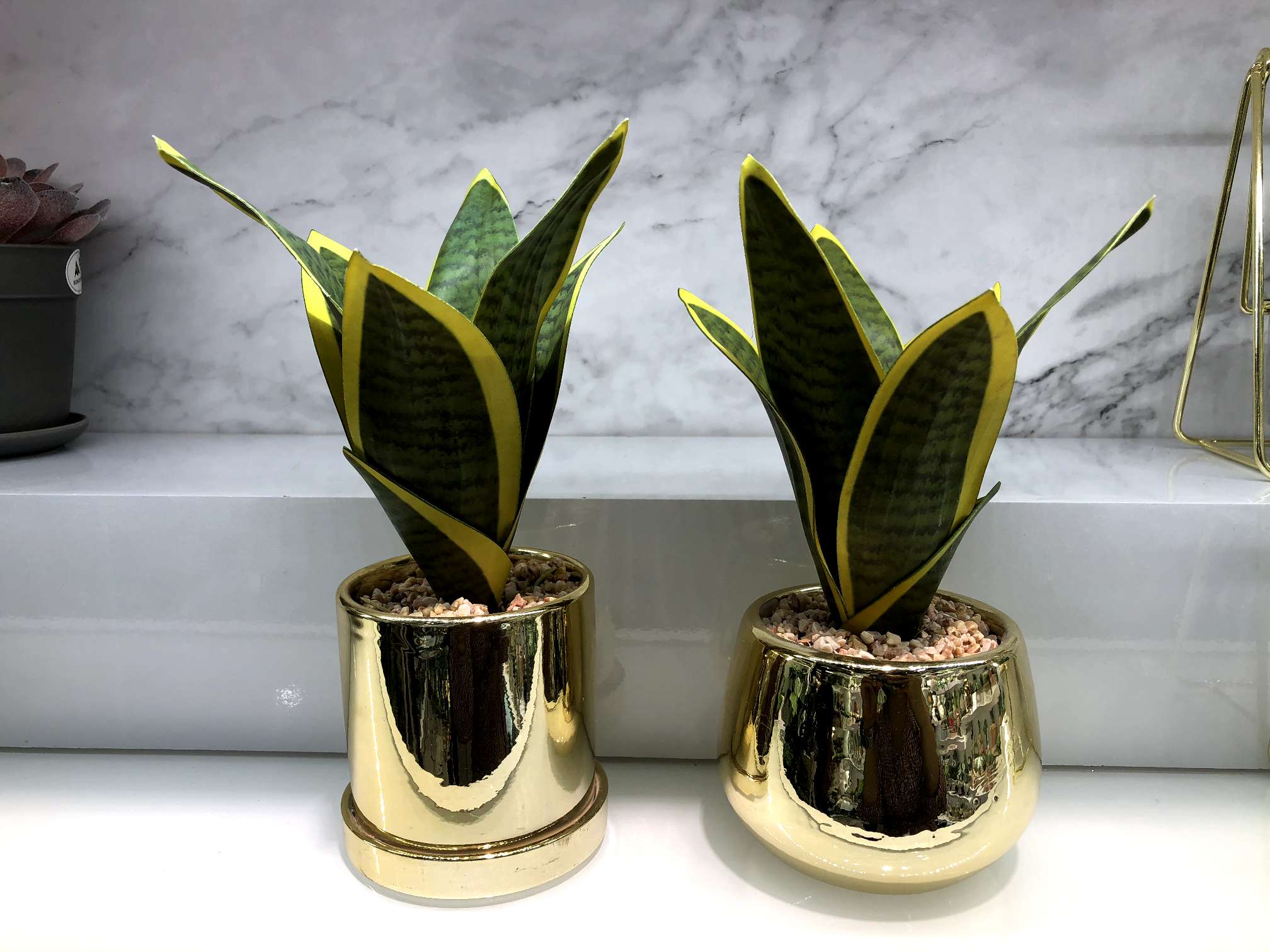 Hanlv simulation succulent plant potted plants, ceramic gold-plated creative succulent potted plants, a bestseller in foreign trade Specification image