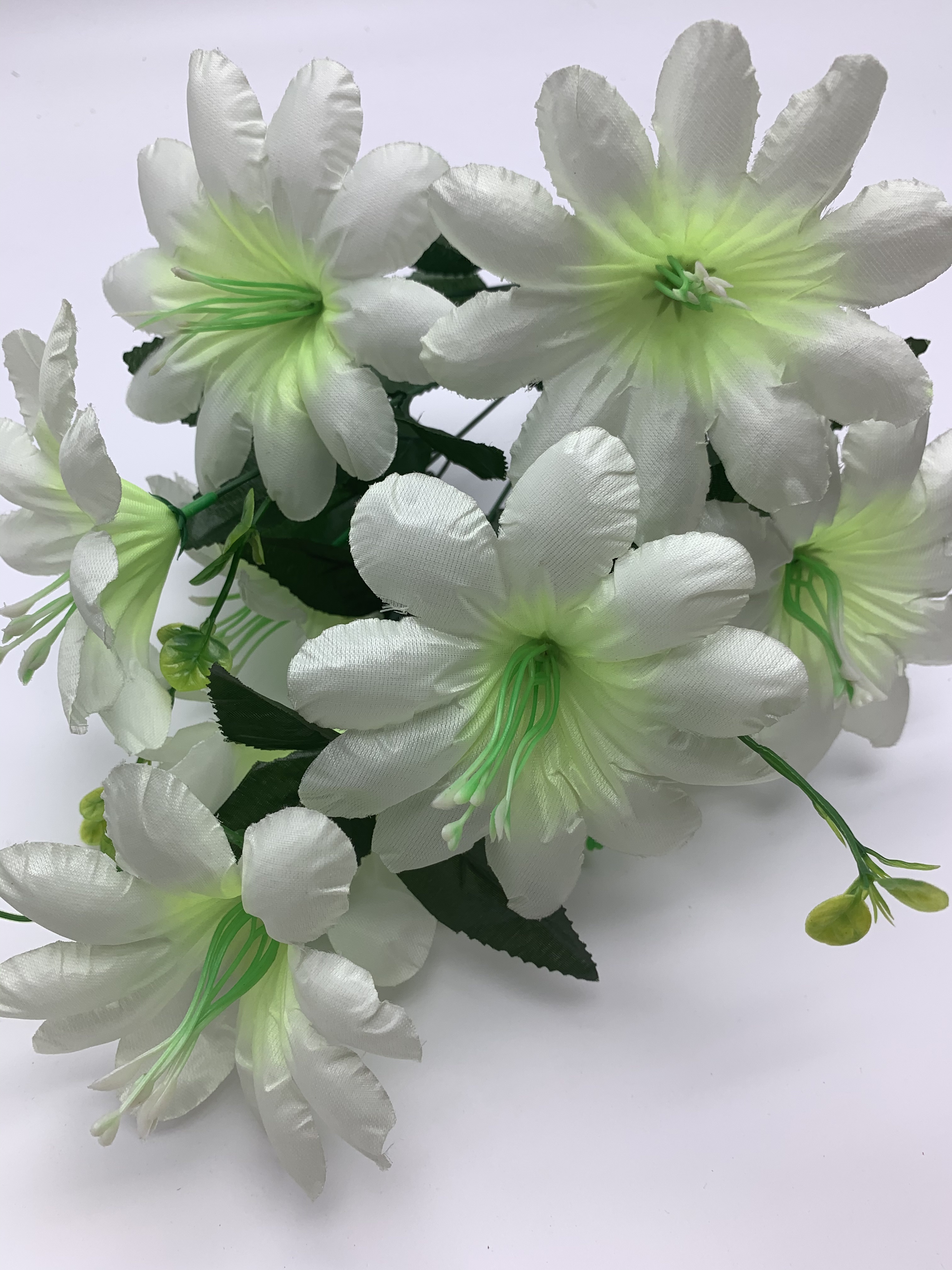 Nine new lotus roses Application Scenario