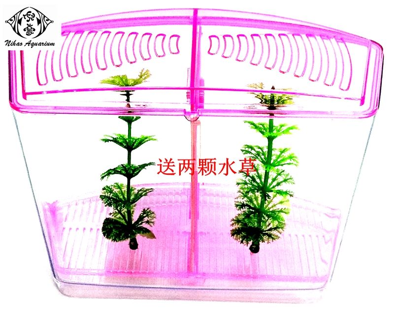 孵化盒产品图
