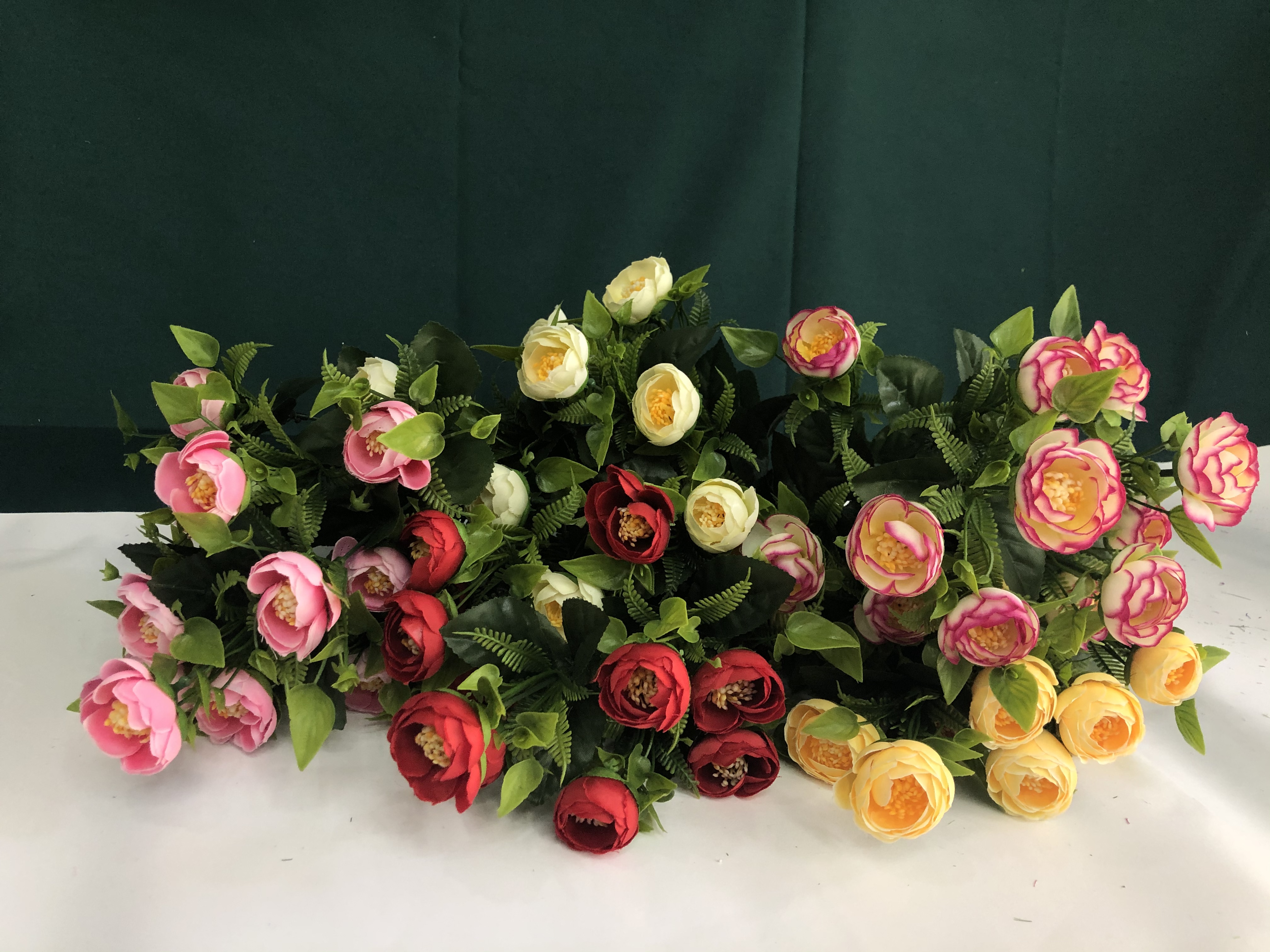 其他茶叶实物图