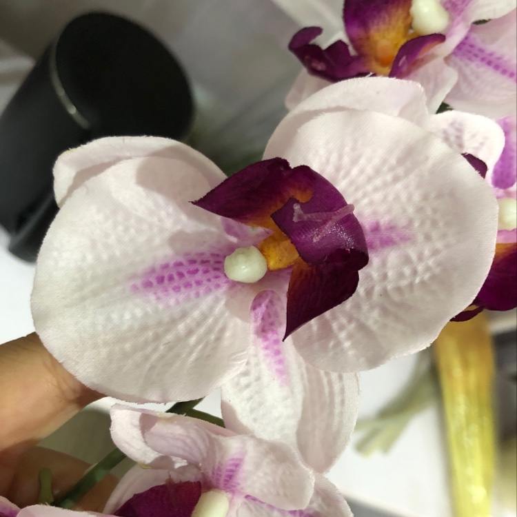 仿真花瓣实物图