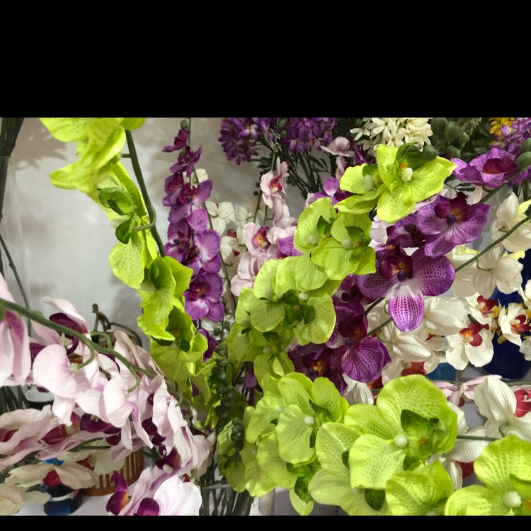 仿真花/蝴蝶兰产品图