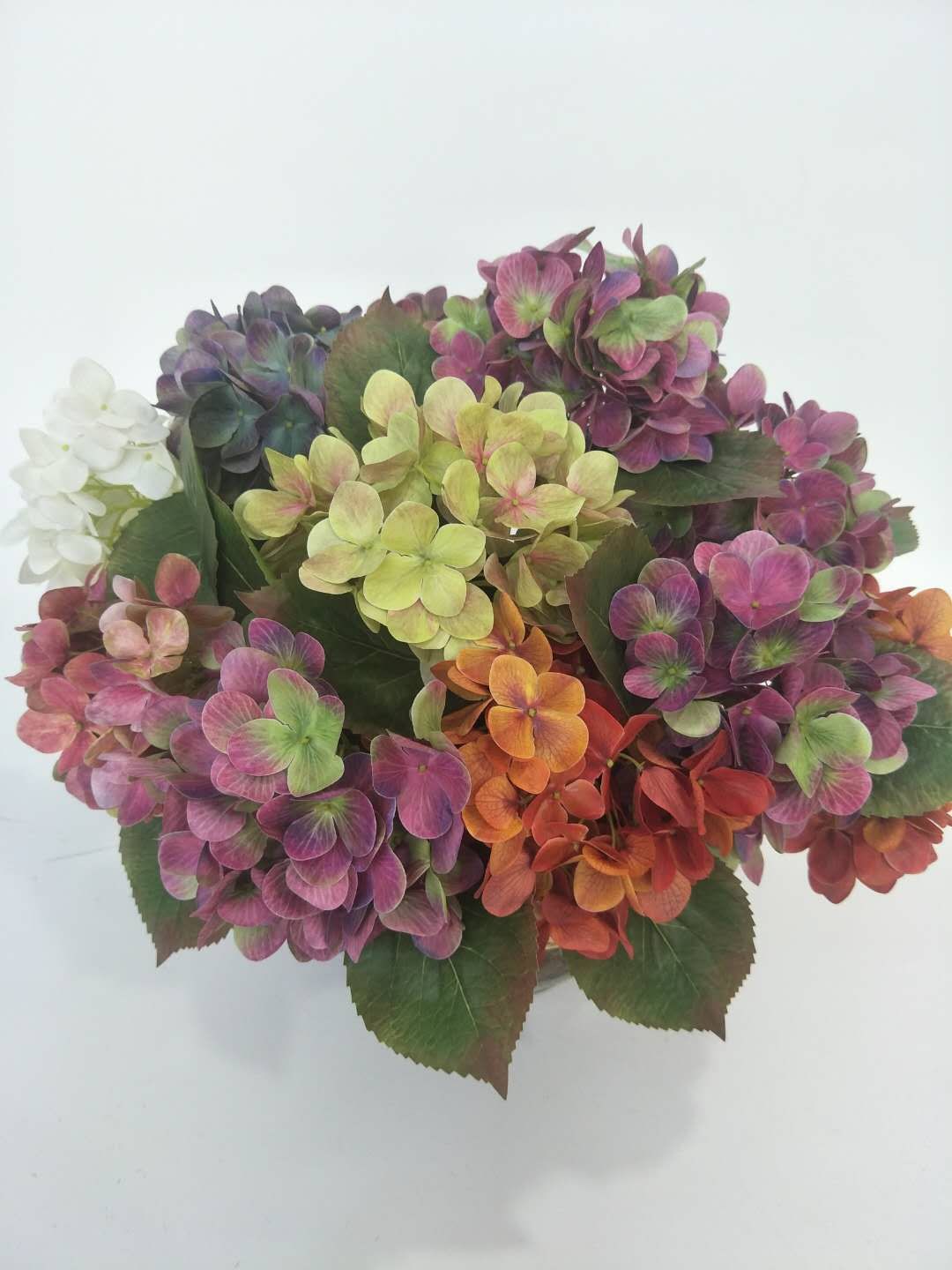 pG small hydrangea