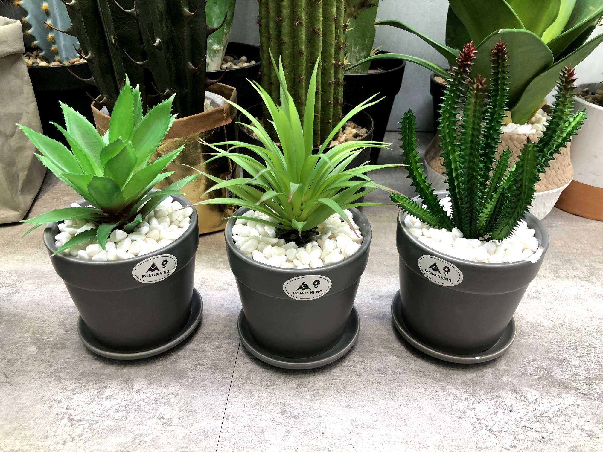 Ceramic simulation succulent plant potted bonsai Item Picture