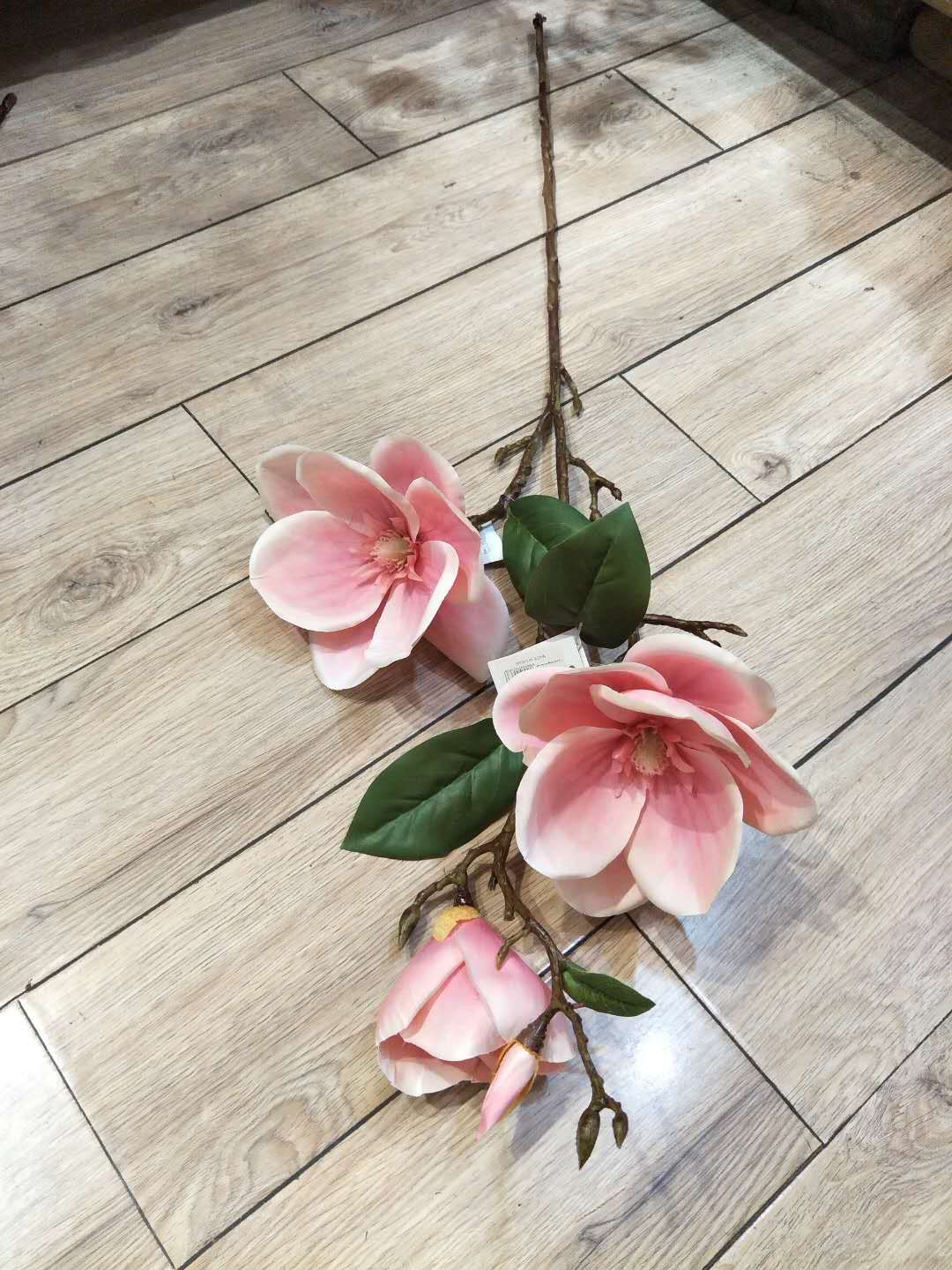 3 Head Magnolia Magnolia Specification drawing