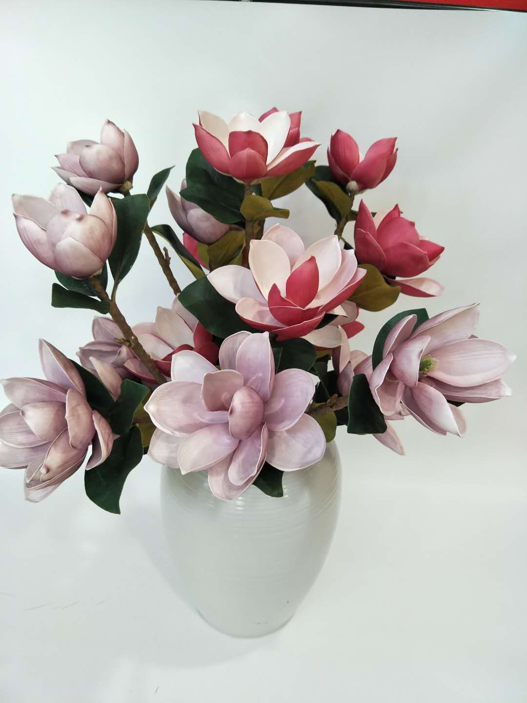 Magnolia magnolia with three heads thumbnail