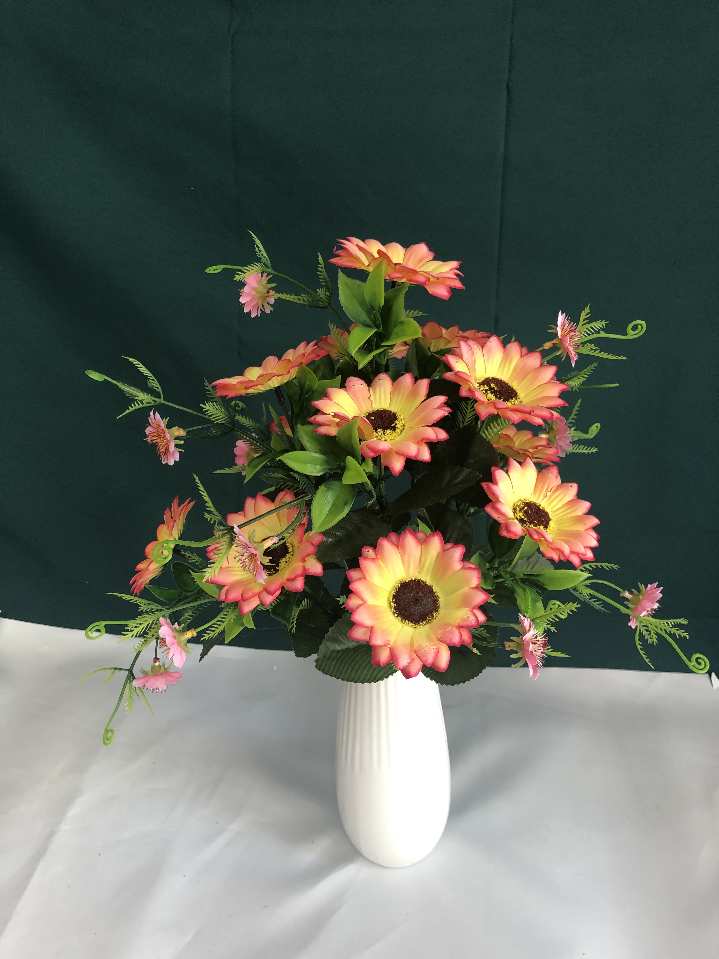 12头太阳菊花细节图