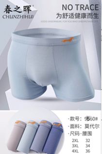 Yiwu Selection men modal underwear 4XL 9560#/51547