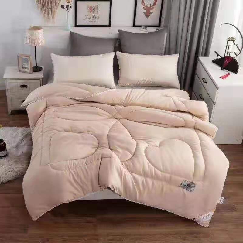 Silk winter quilt, 2 meters, 200*230cm, lace special offer, plain color for two people