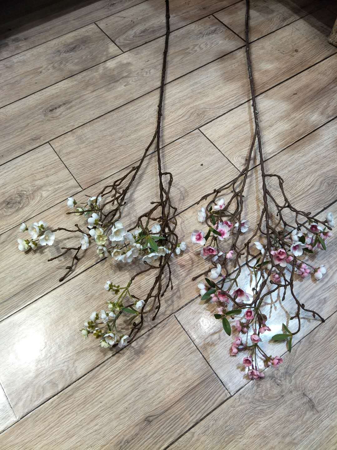 Dead apple blossom