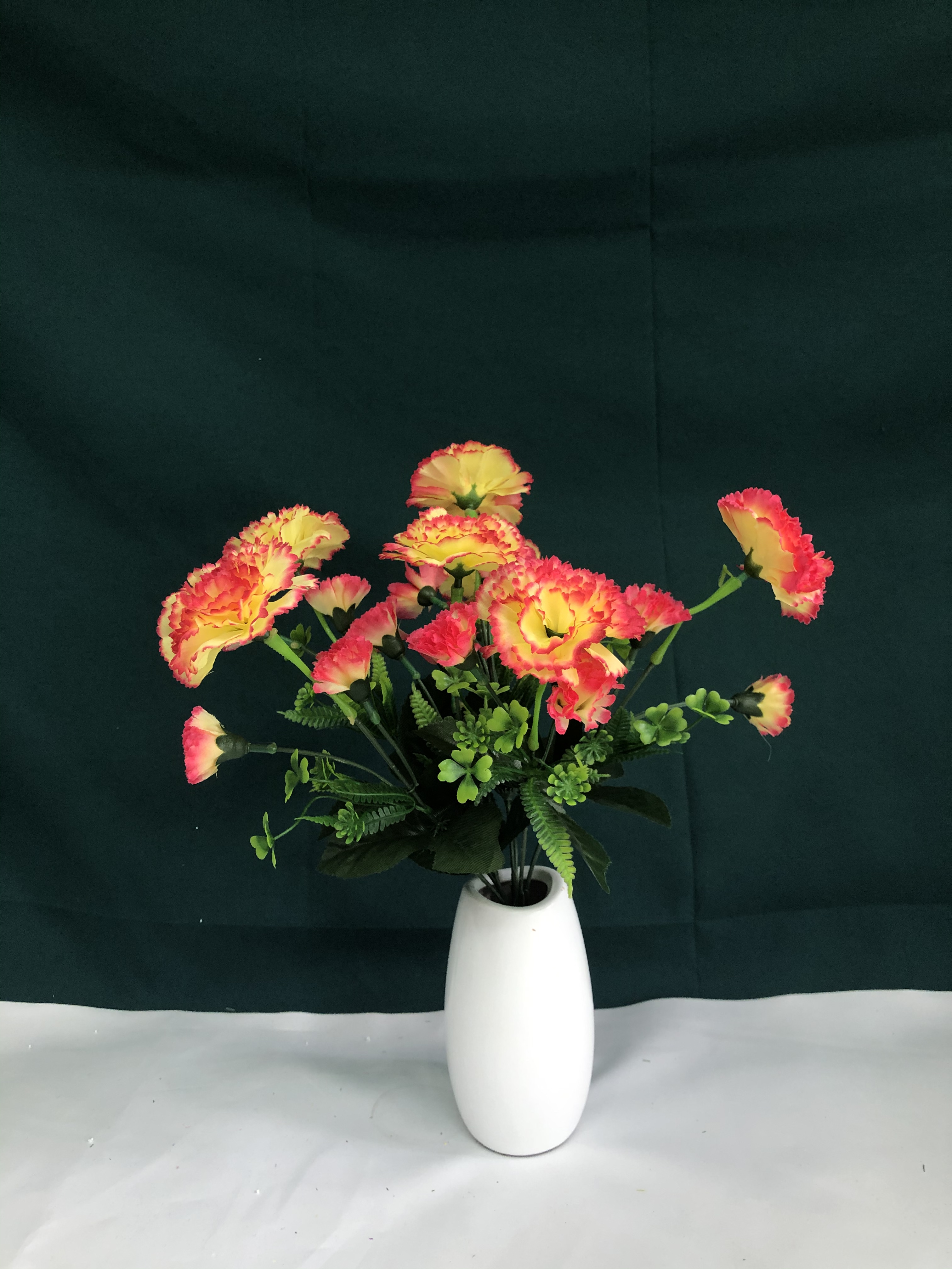 7头大小康乃馨白底实物图