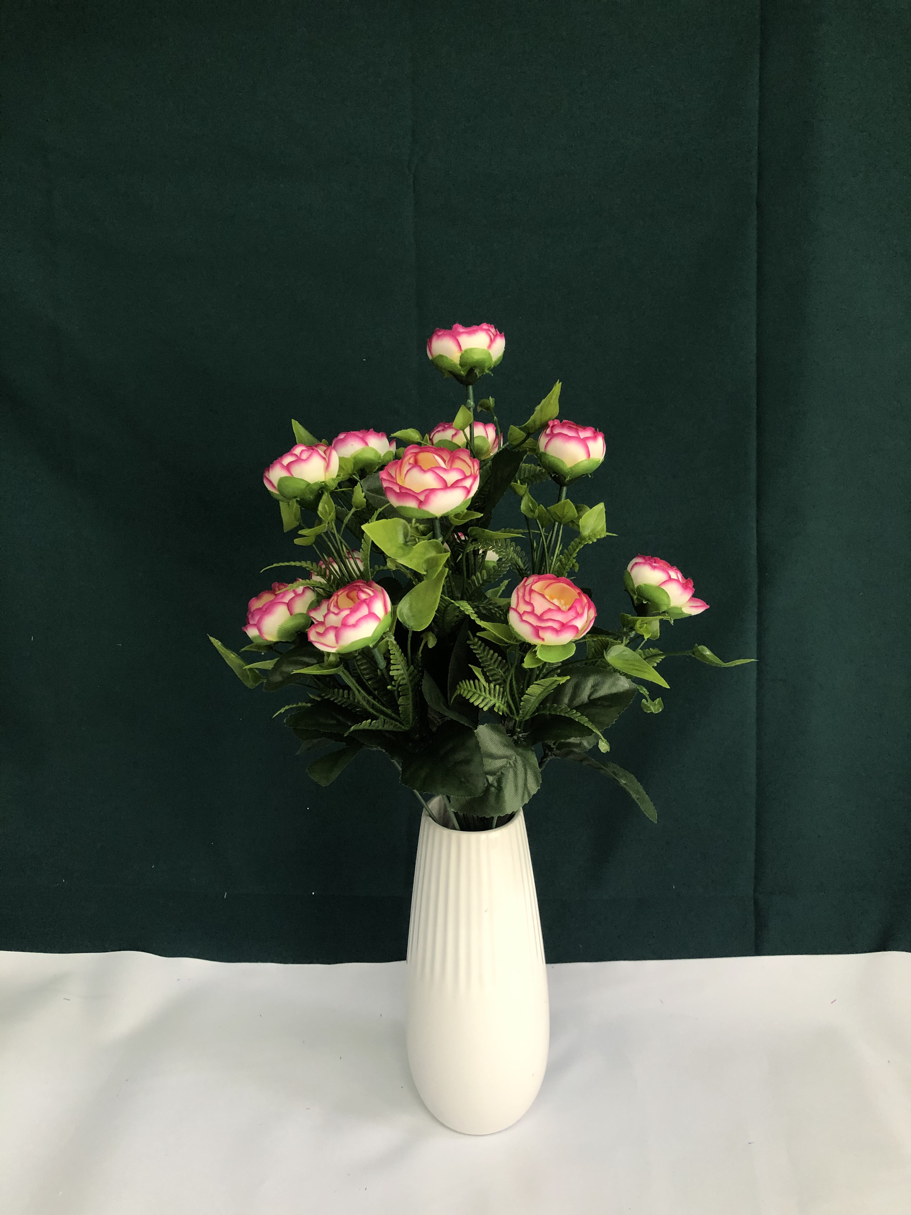 12头小茶包白底实物图