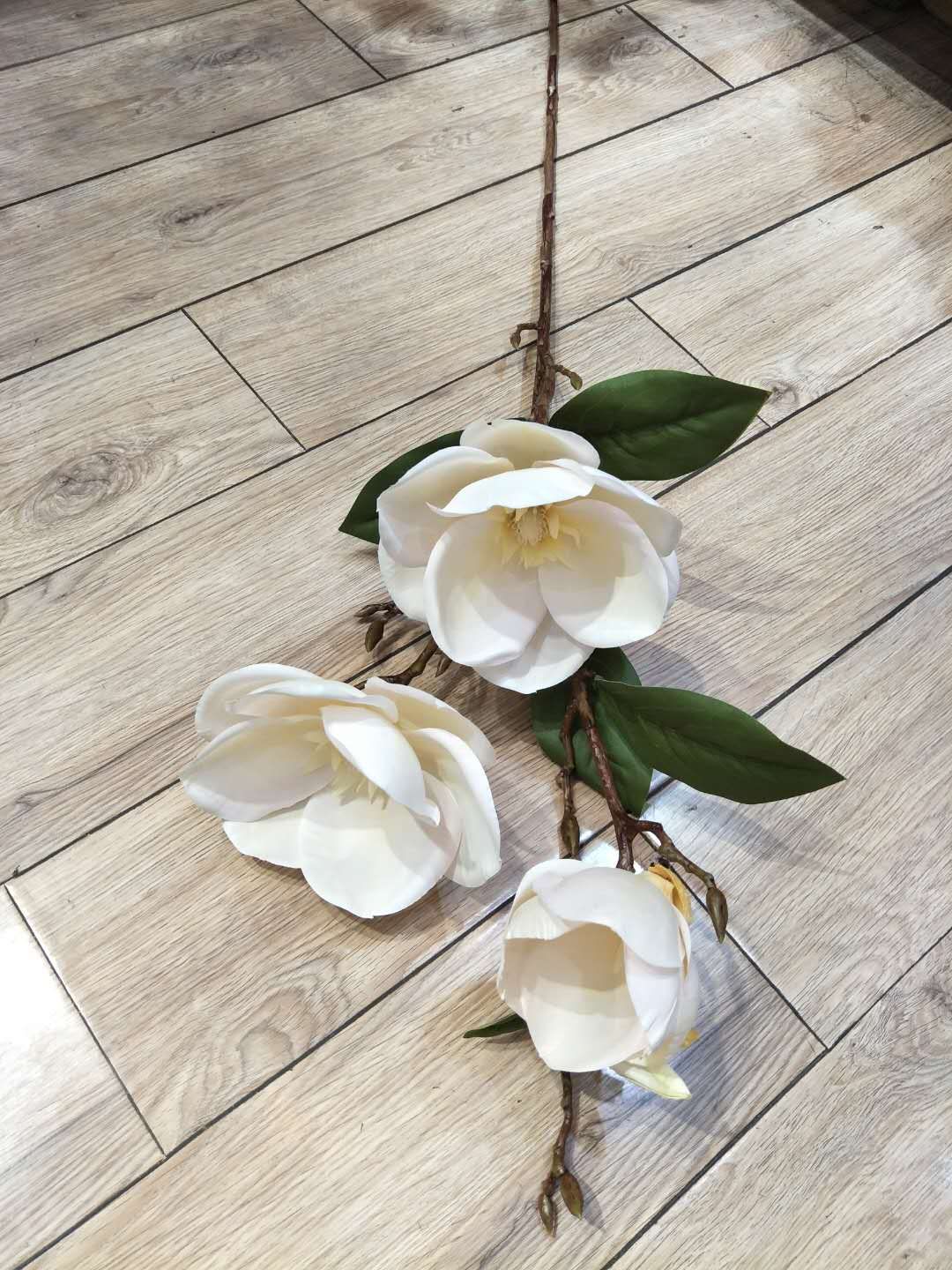 3 Head Magnolia Magnolia Application Scenario
