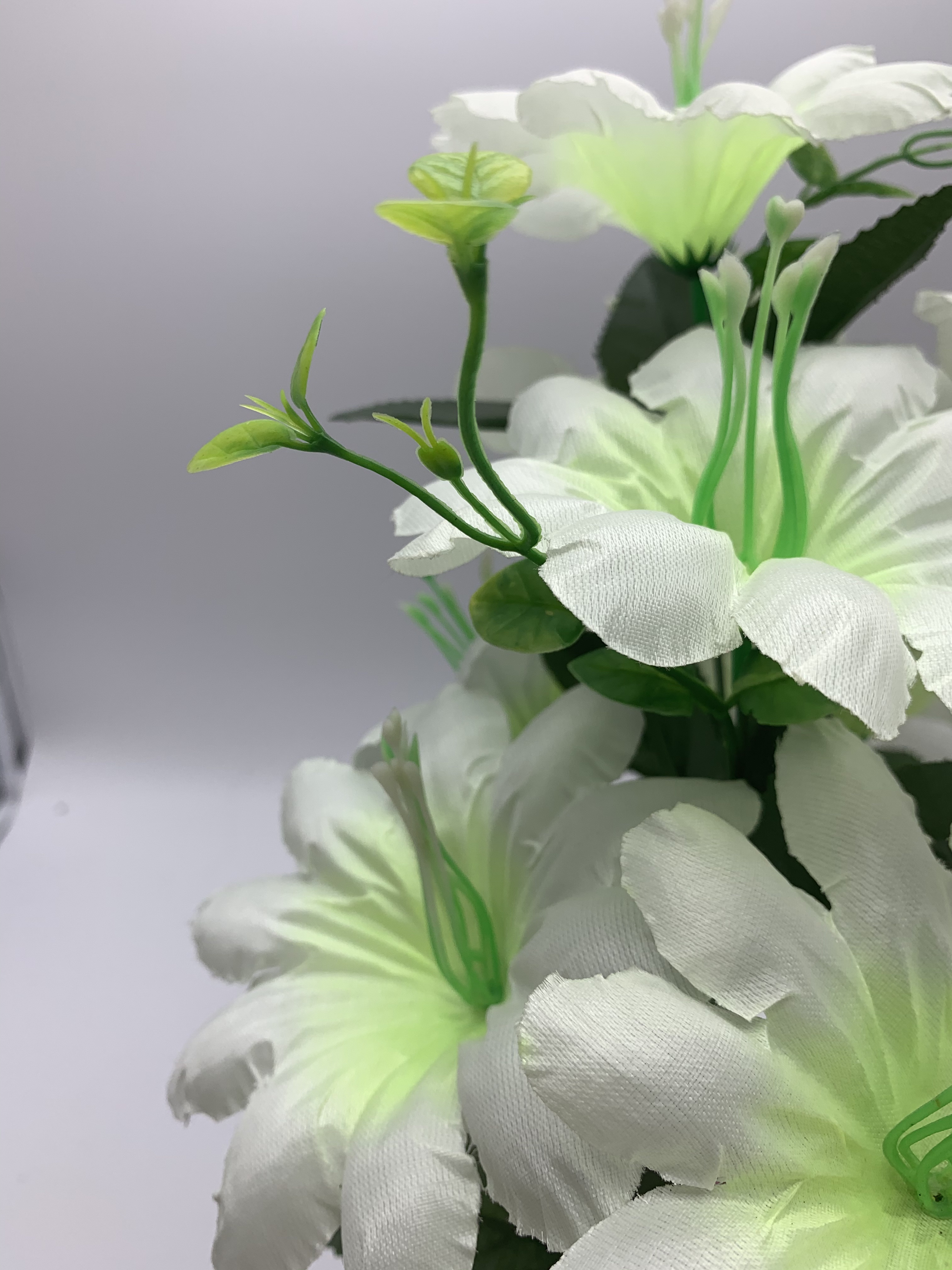 Nine new lotus roses details Picture