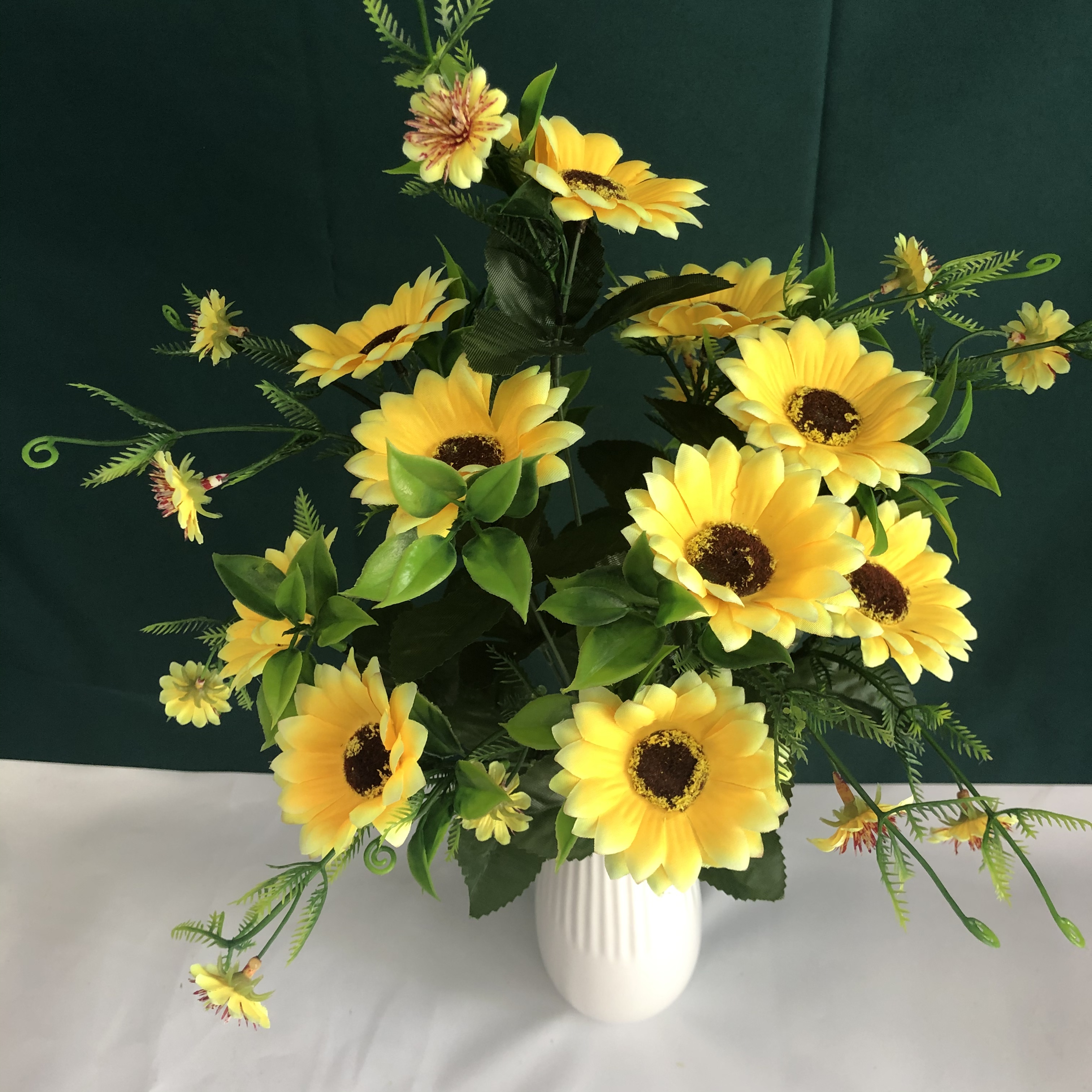 12头太阳菊花详情图6