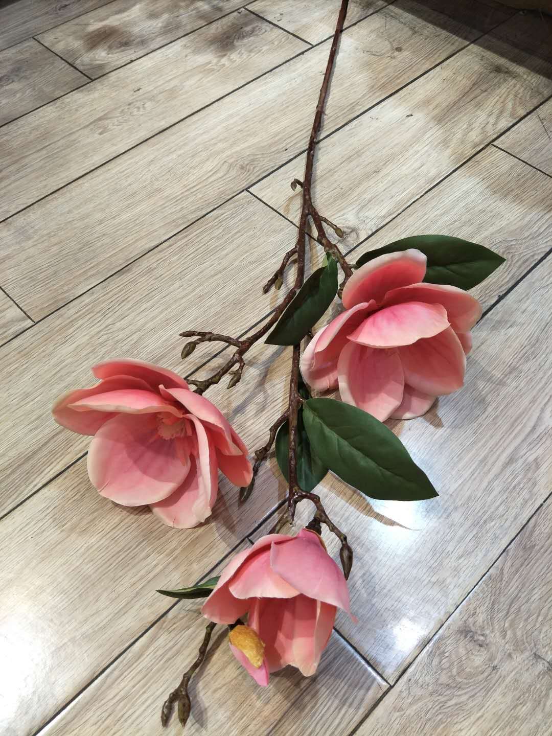 3 Head Magnolia Magnolia details Picture