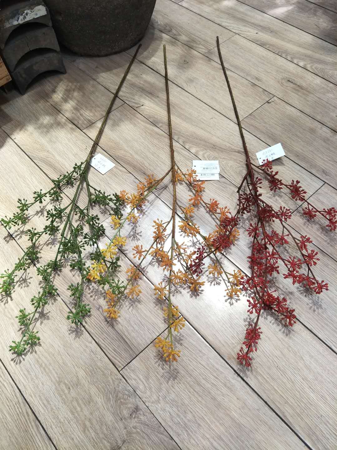 Fruit branch