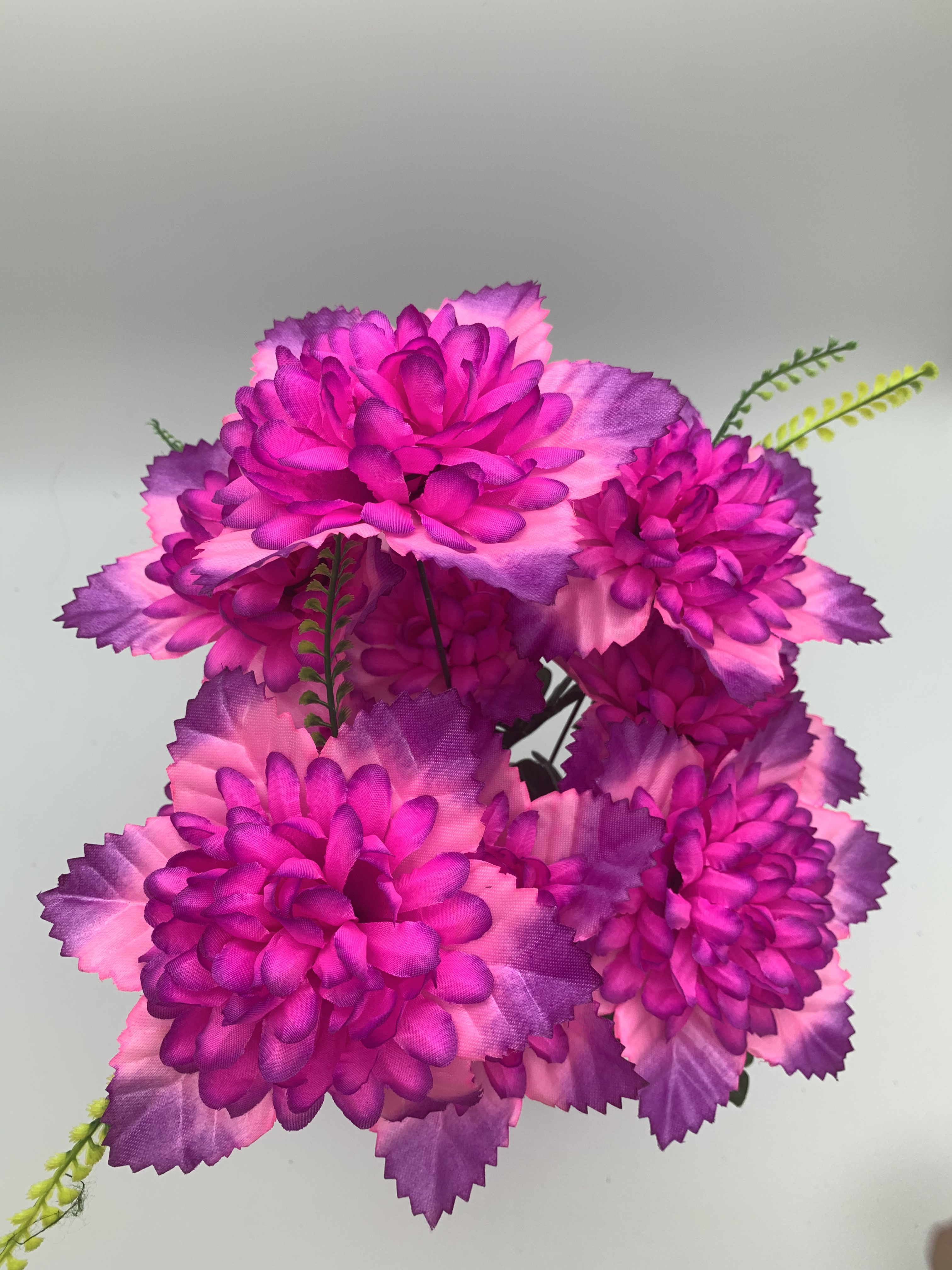 A rose with six ears out of nine Specification image