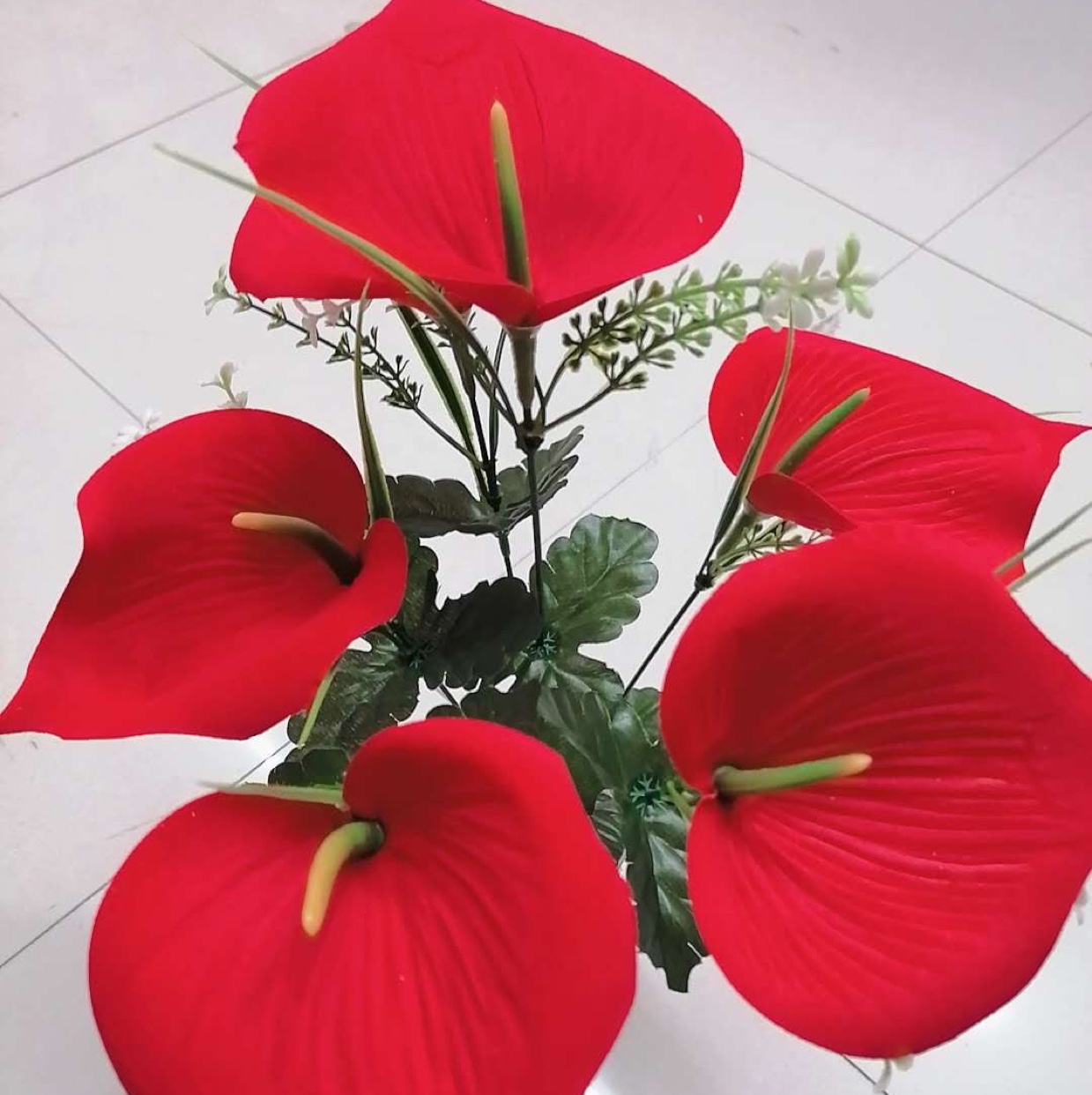 Six velvet calla lilies