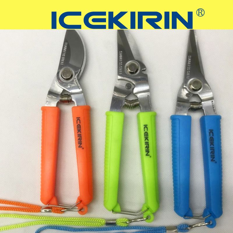 园林剪刀 修枝剪 果枝剪 葡萄剪 稀果剪 家用剪 果剪8寸详情图2