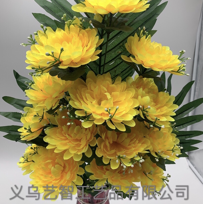 Chrysanthemum with 14 heads and 18 ears Chrysanthemum with 14 heads and 18 ears