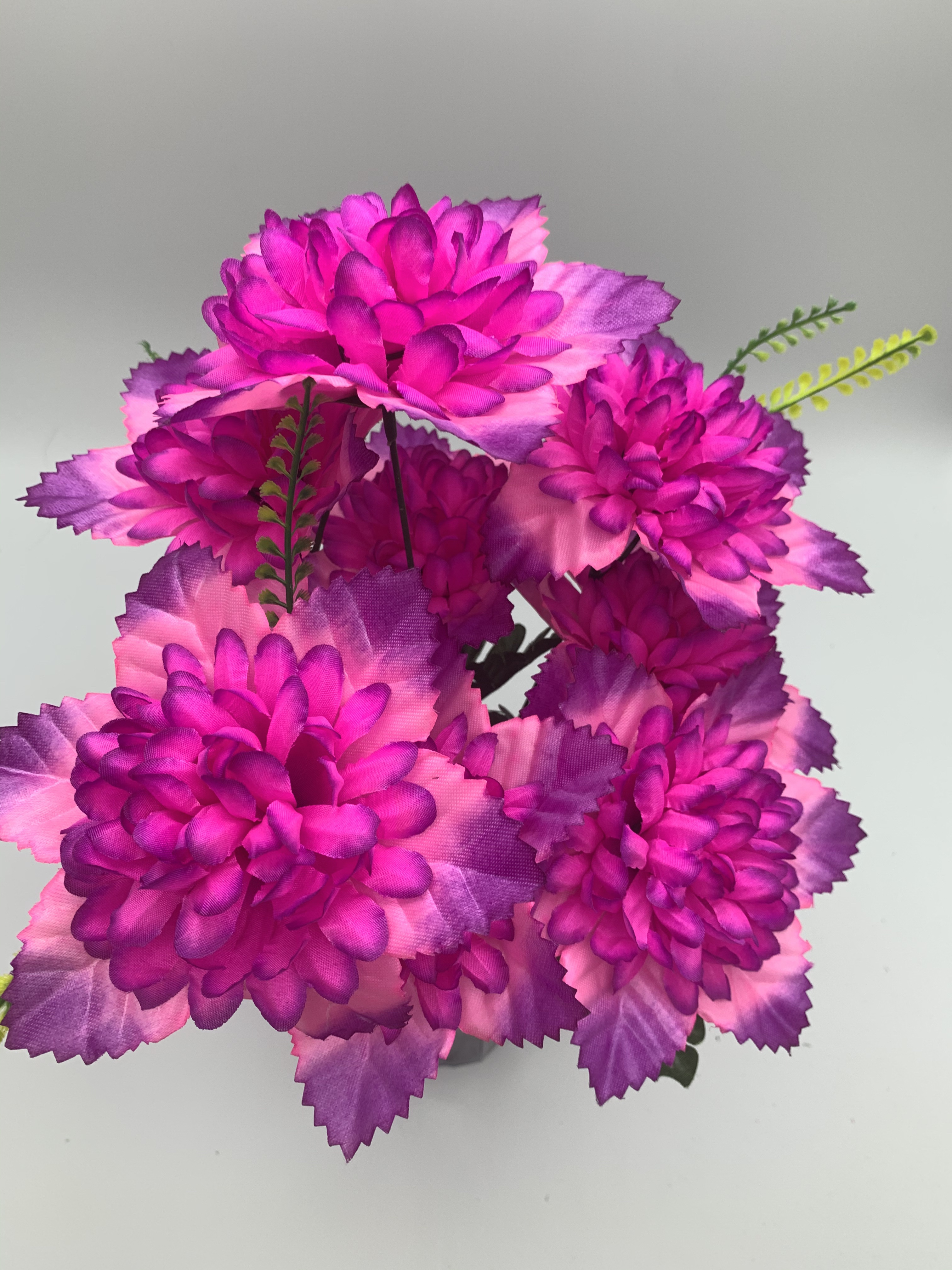 A rose with six ears out of nine details Picture