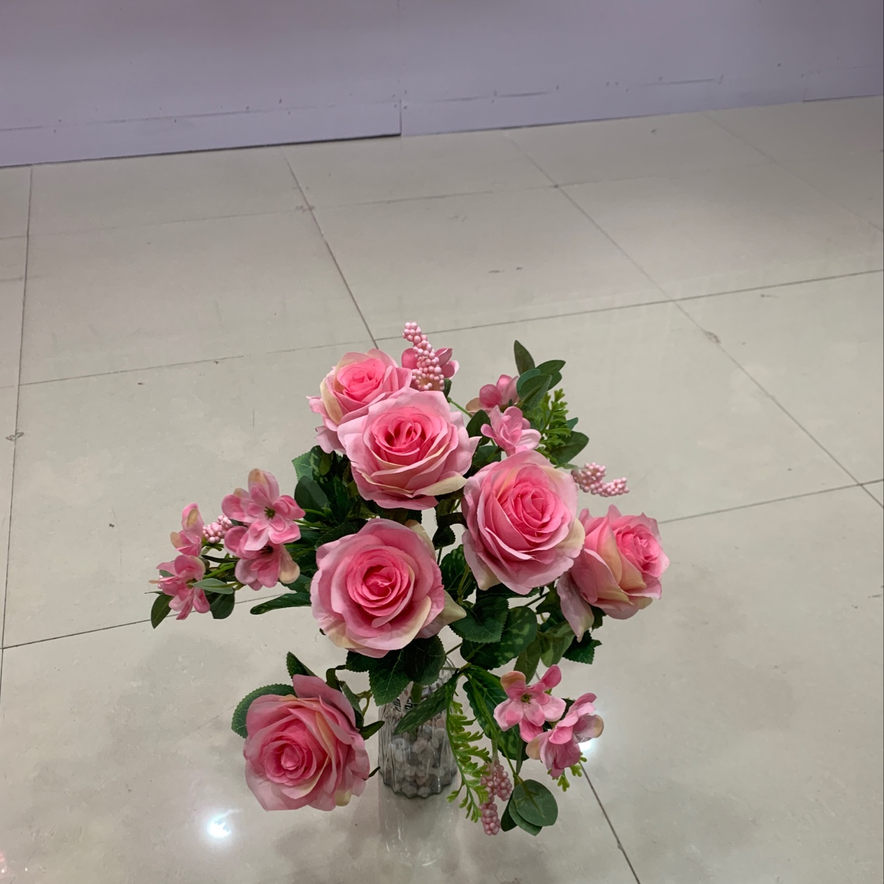 12 new Anna roses