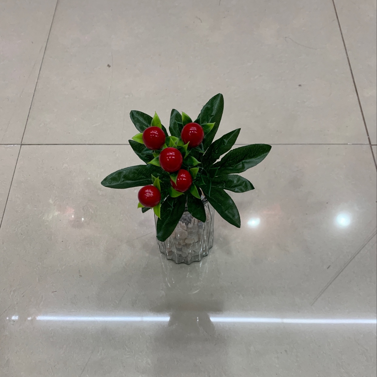 A single branch with five small red fruits