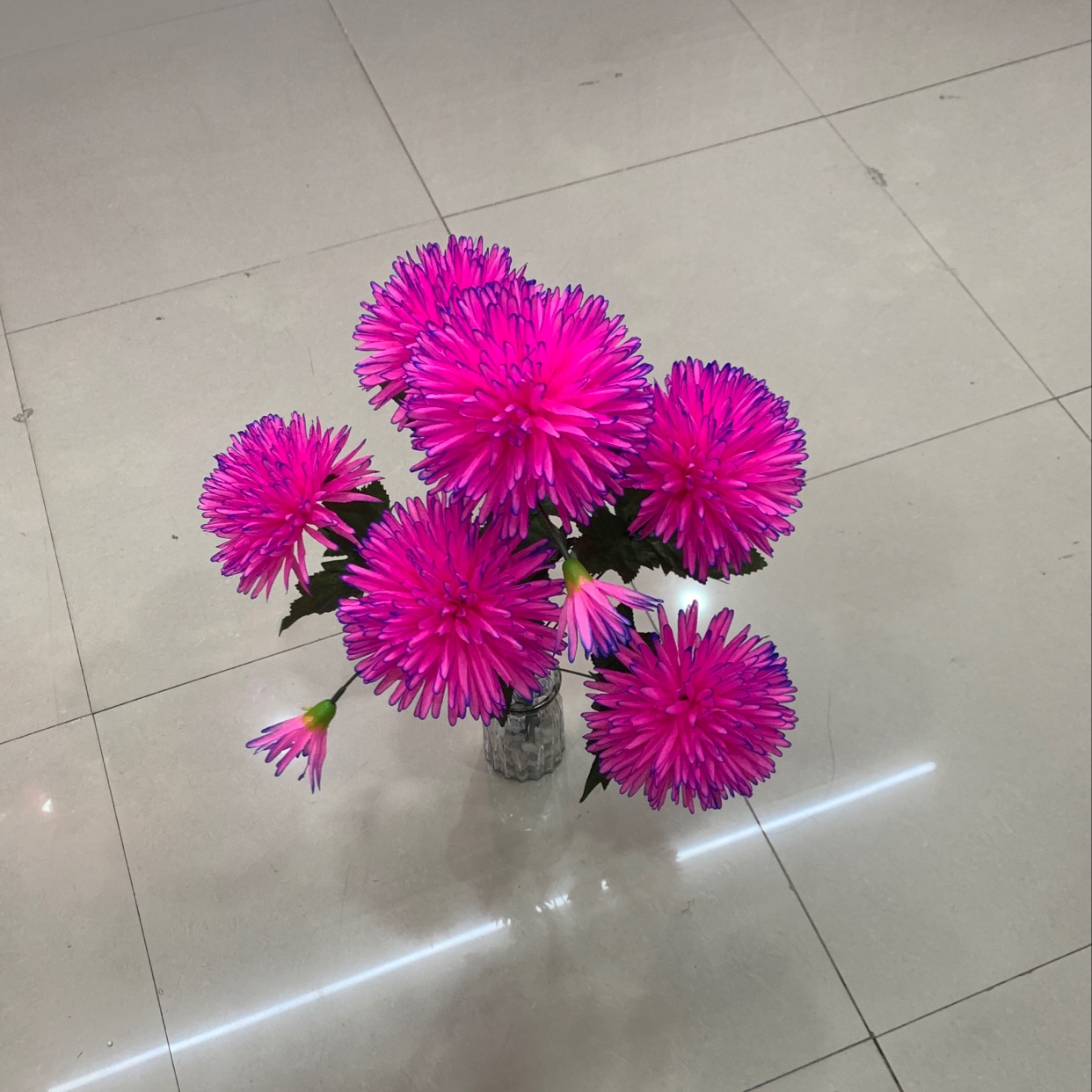 Seven new pine needle chrysanthemums