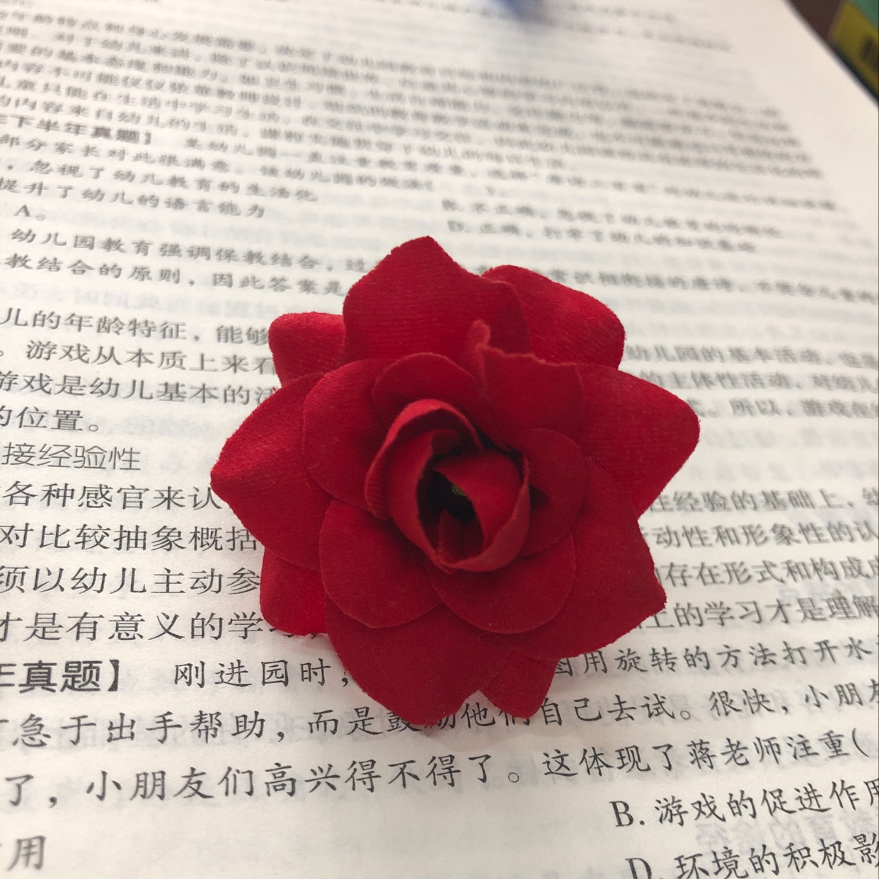 小卷边枚花头产品图
